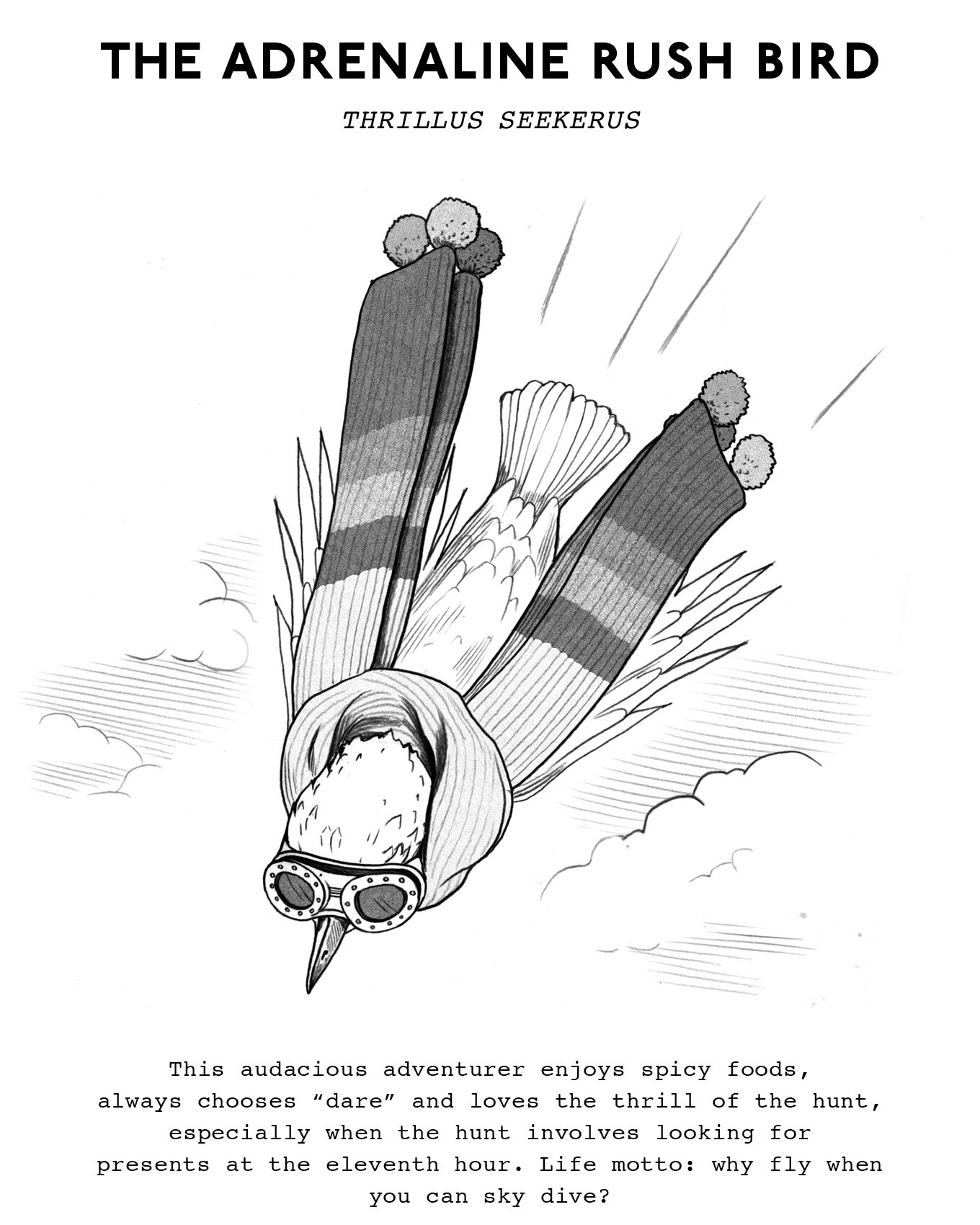 The adrenaline rush bird