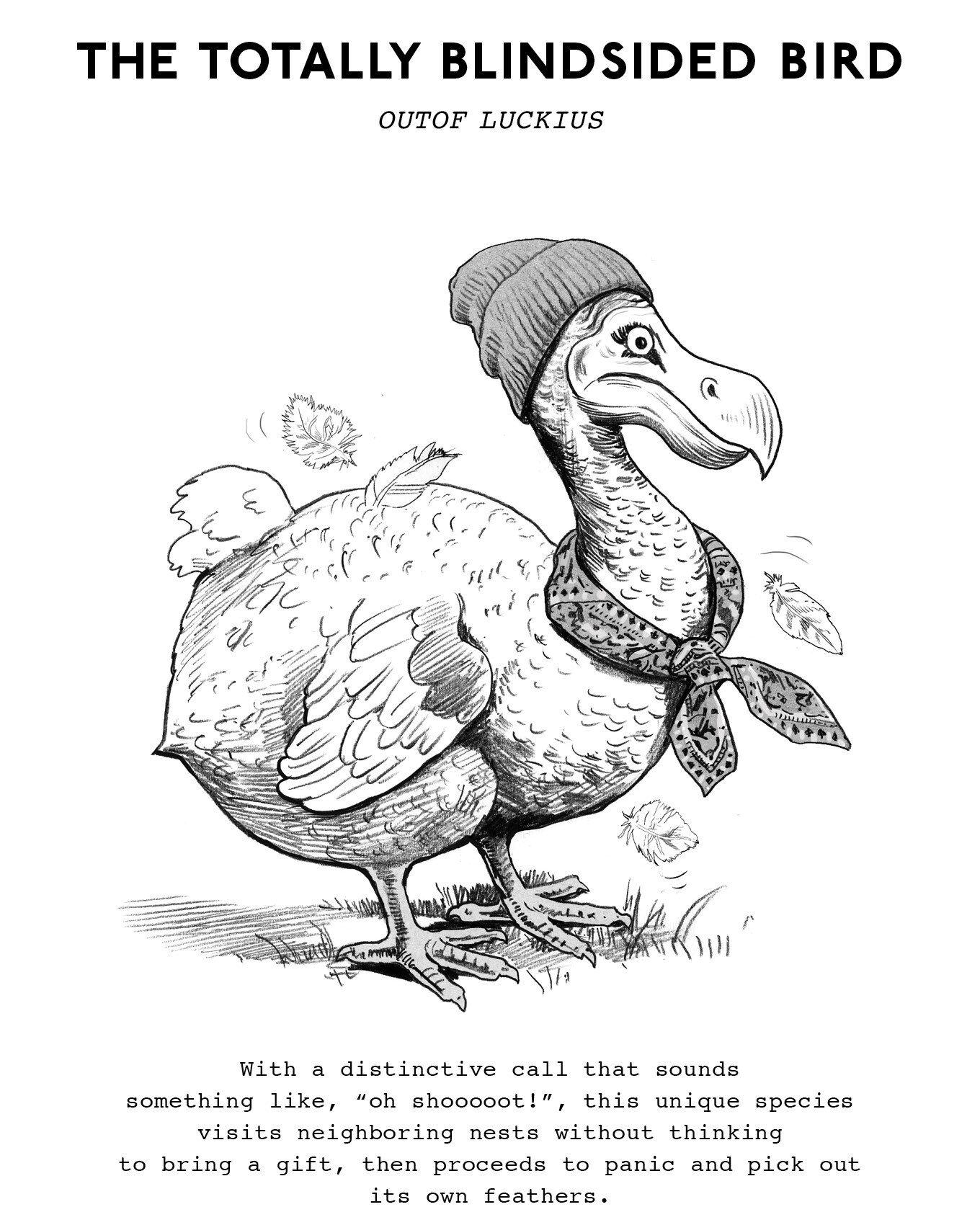 The totally blindsided bird