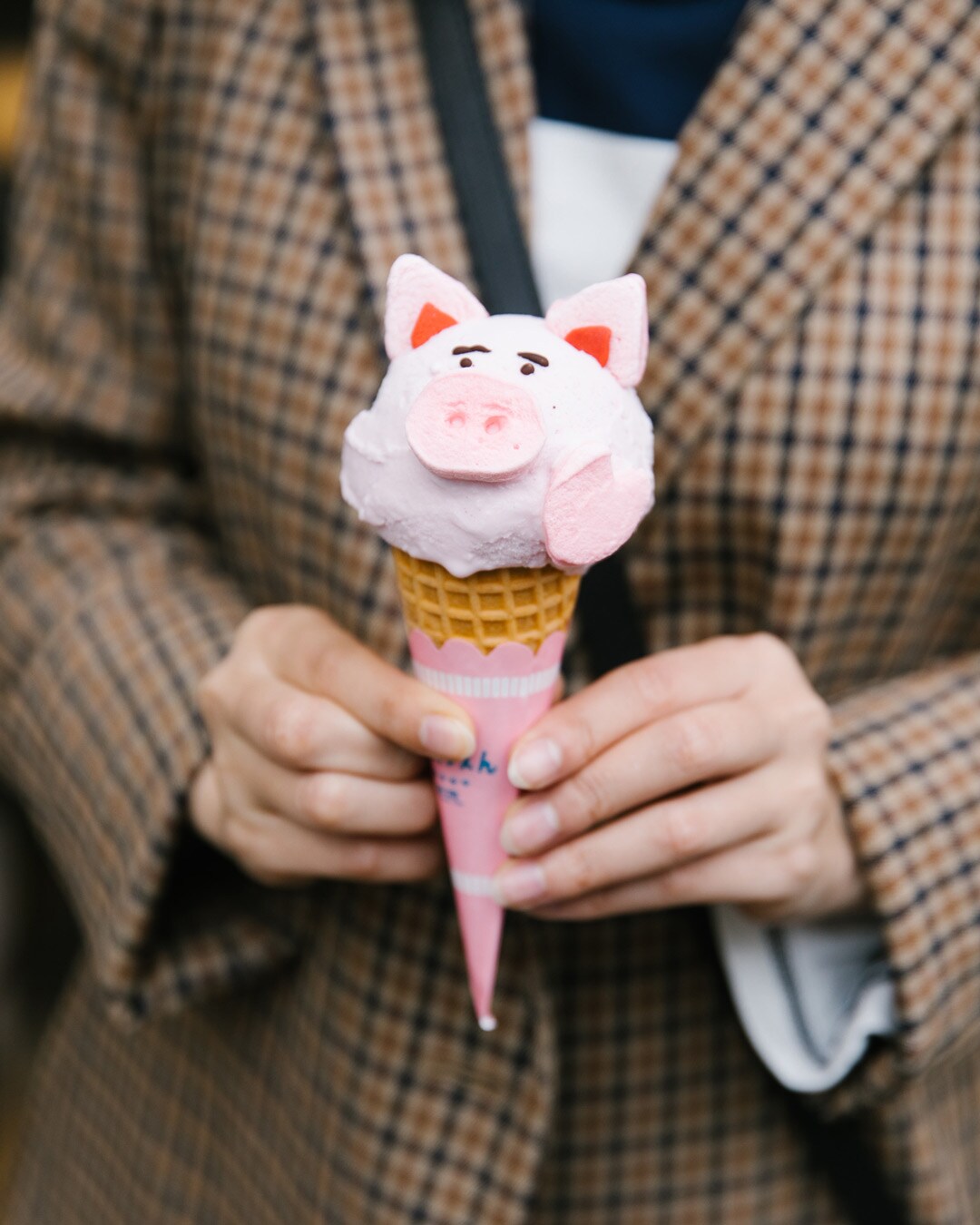 THE ZOO ICE CREAM SHOP