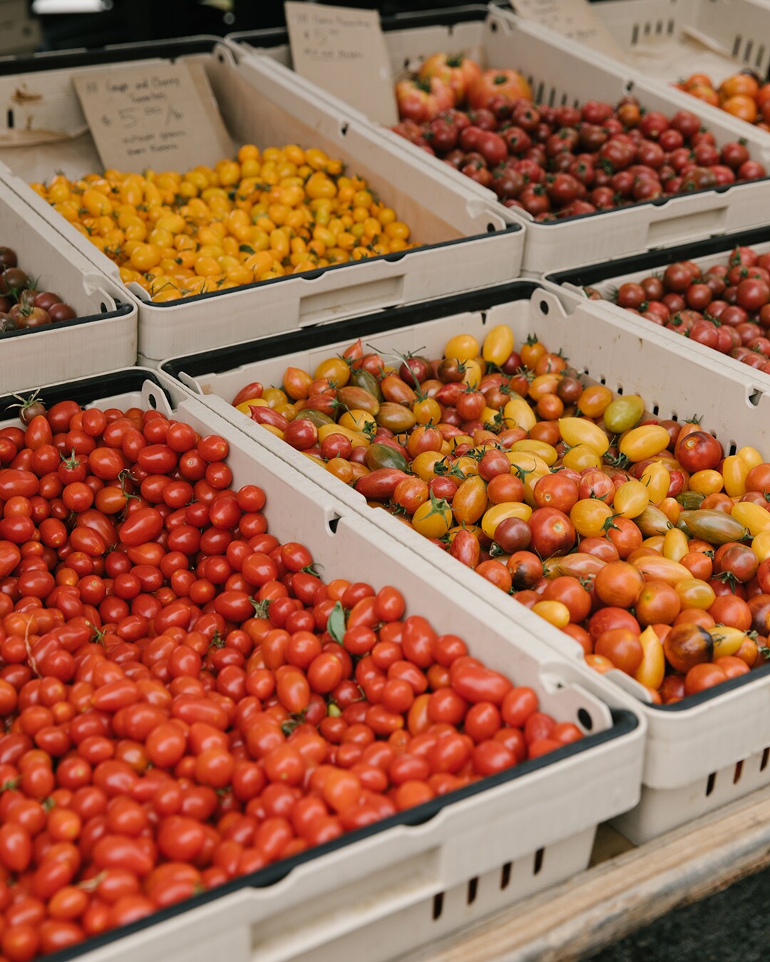 SANTA MONICA FARMERS MARKET