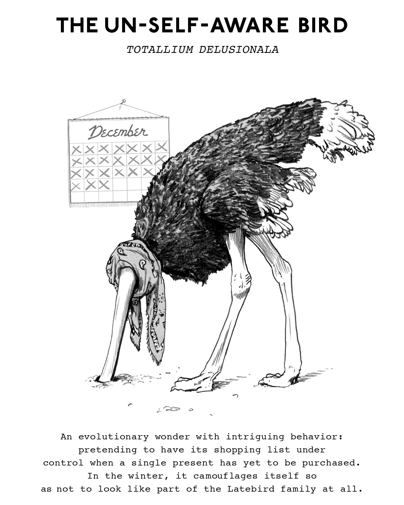 The un-self-aware bird