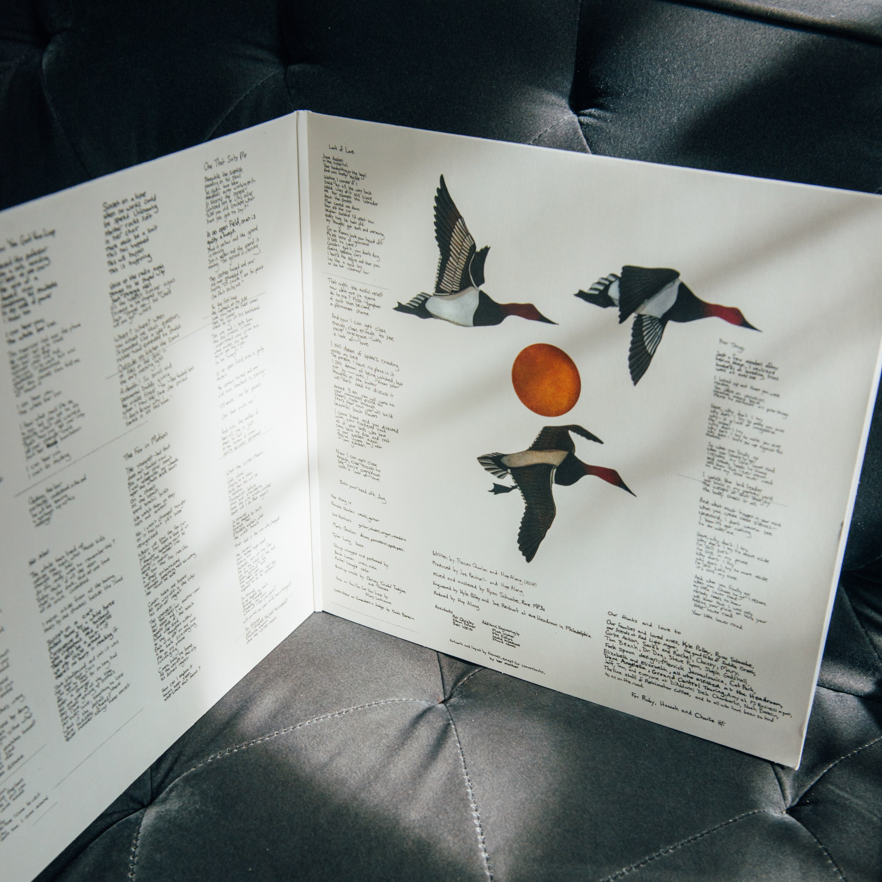 The album: Hop Along’s Bark Your Head Off, Dog