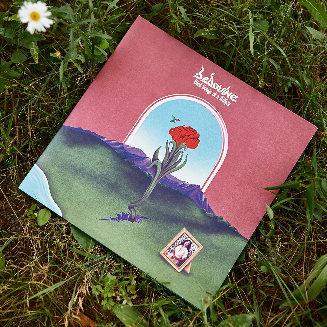 Music record on the grass