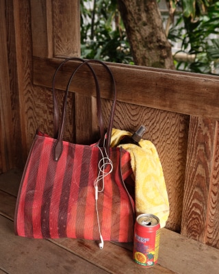THE CAEP Crossbody Phone Case in Milos and Rainbow | Madewell