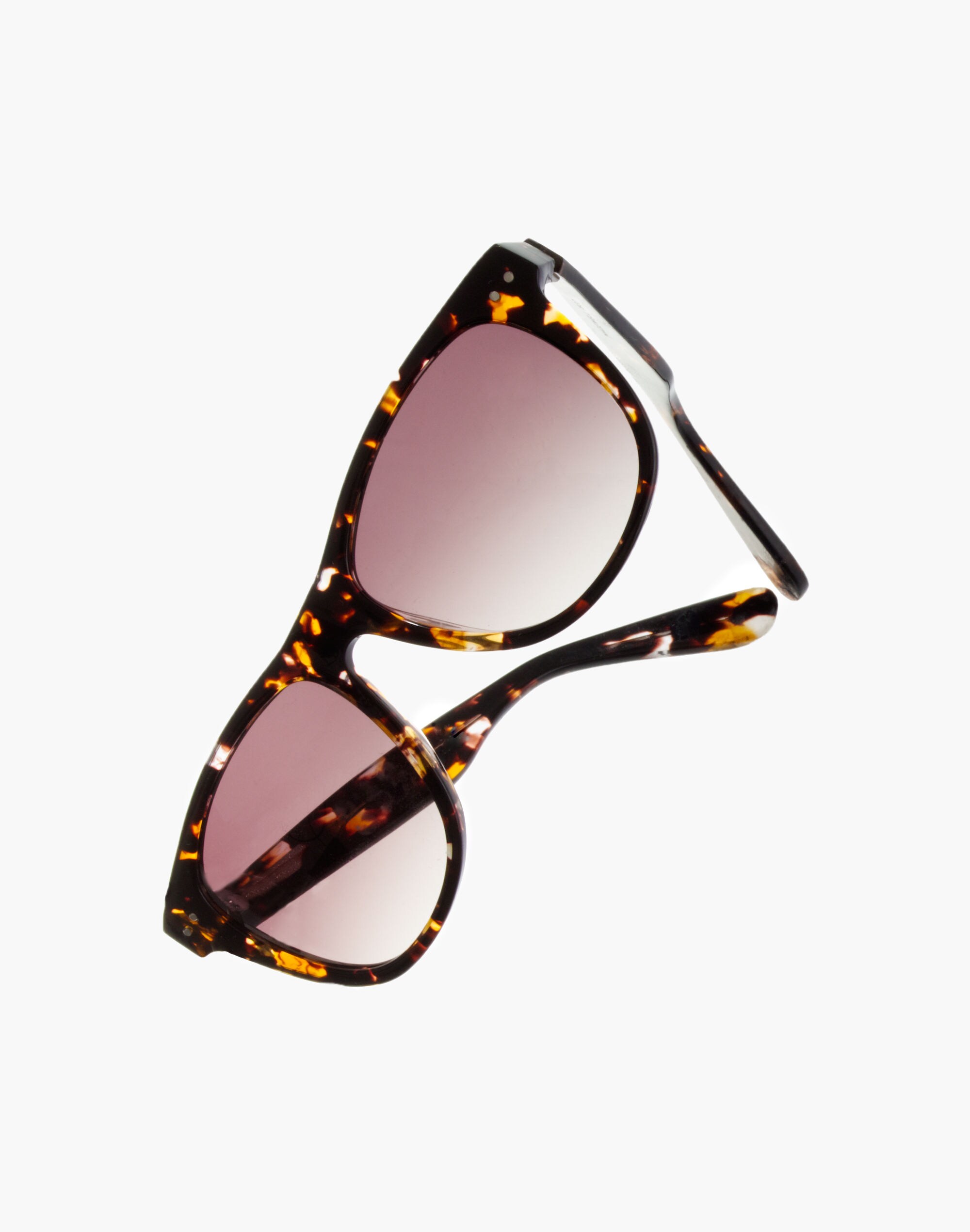 Sunny Day Tortoise Shades