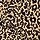 LEOPARD PRINT AUTUMN MEADOW