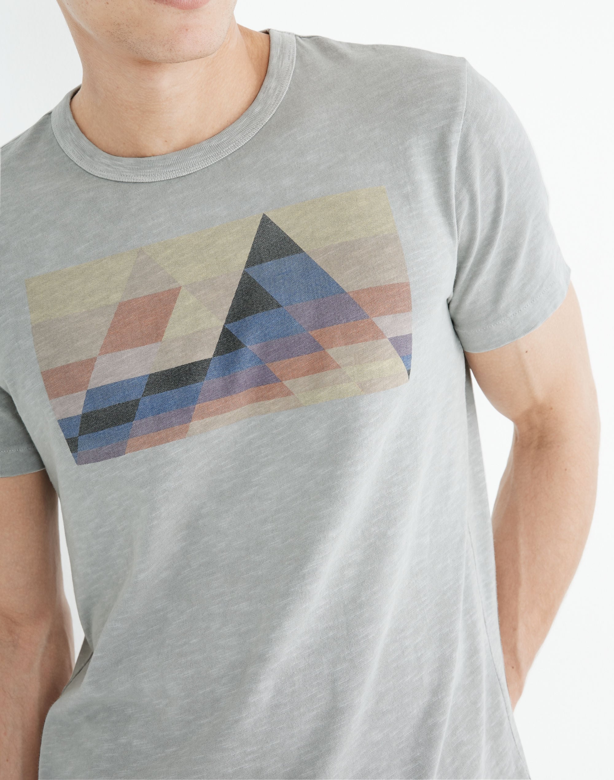 Mountain Graphic Allday Crewneck Tee