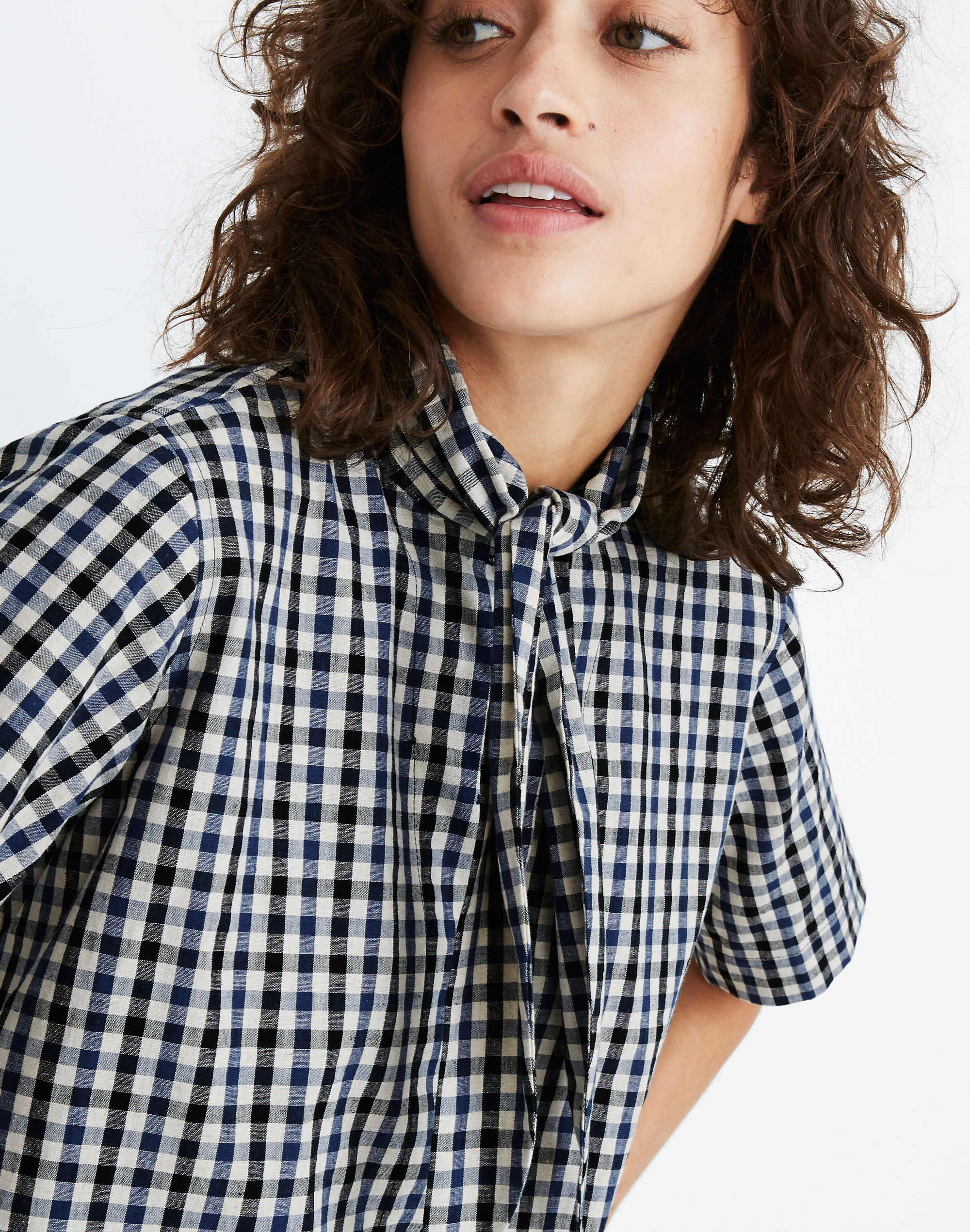 Caron Callahan&trade; Gingham Wesley Hany Tie-Neck Top