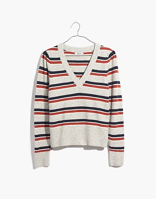Preppy V-neck Striped Dog Sweater Pullover