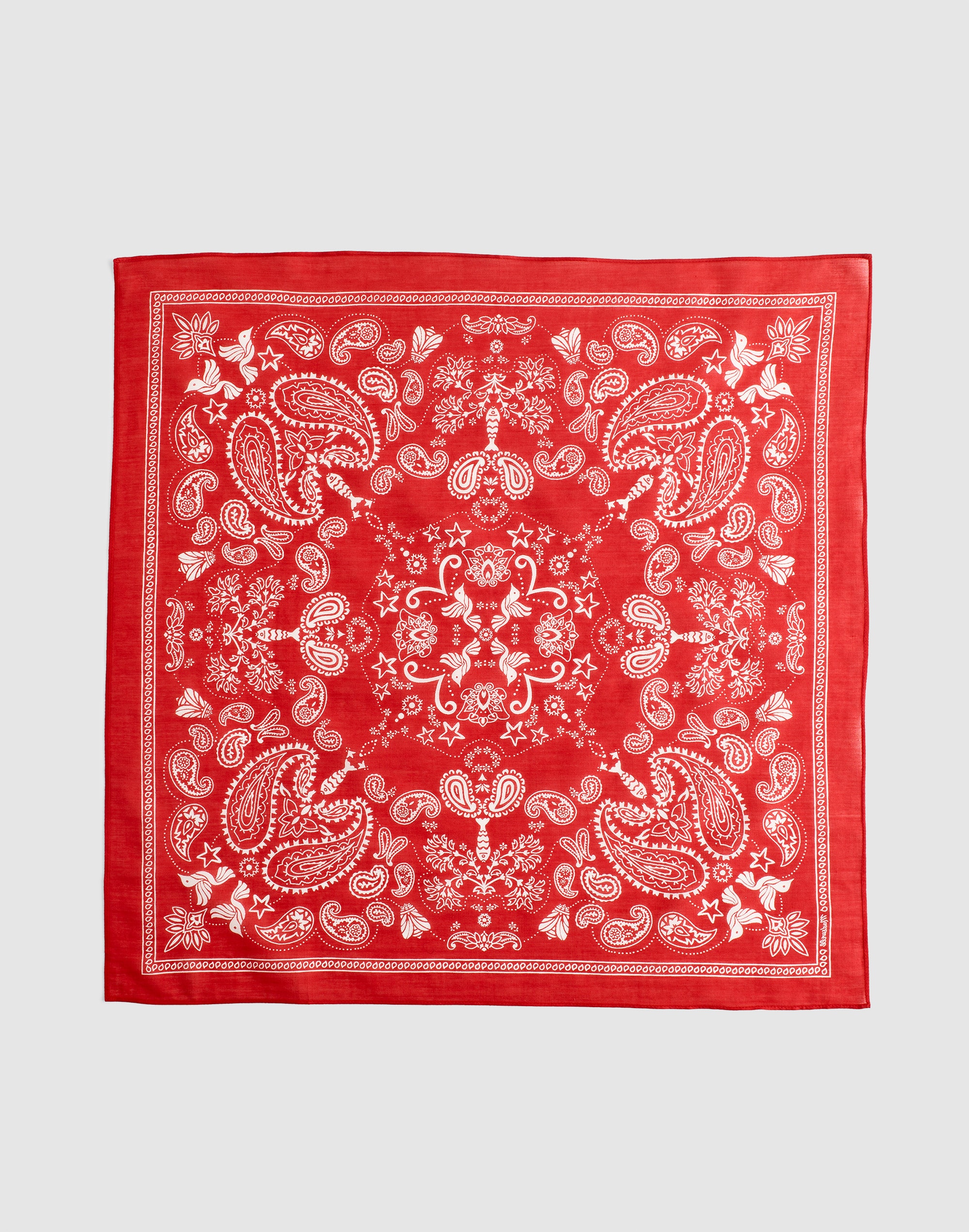 Organic Cotton Bandana