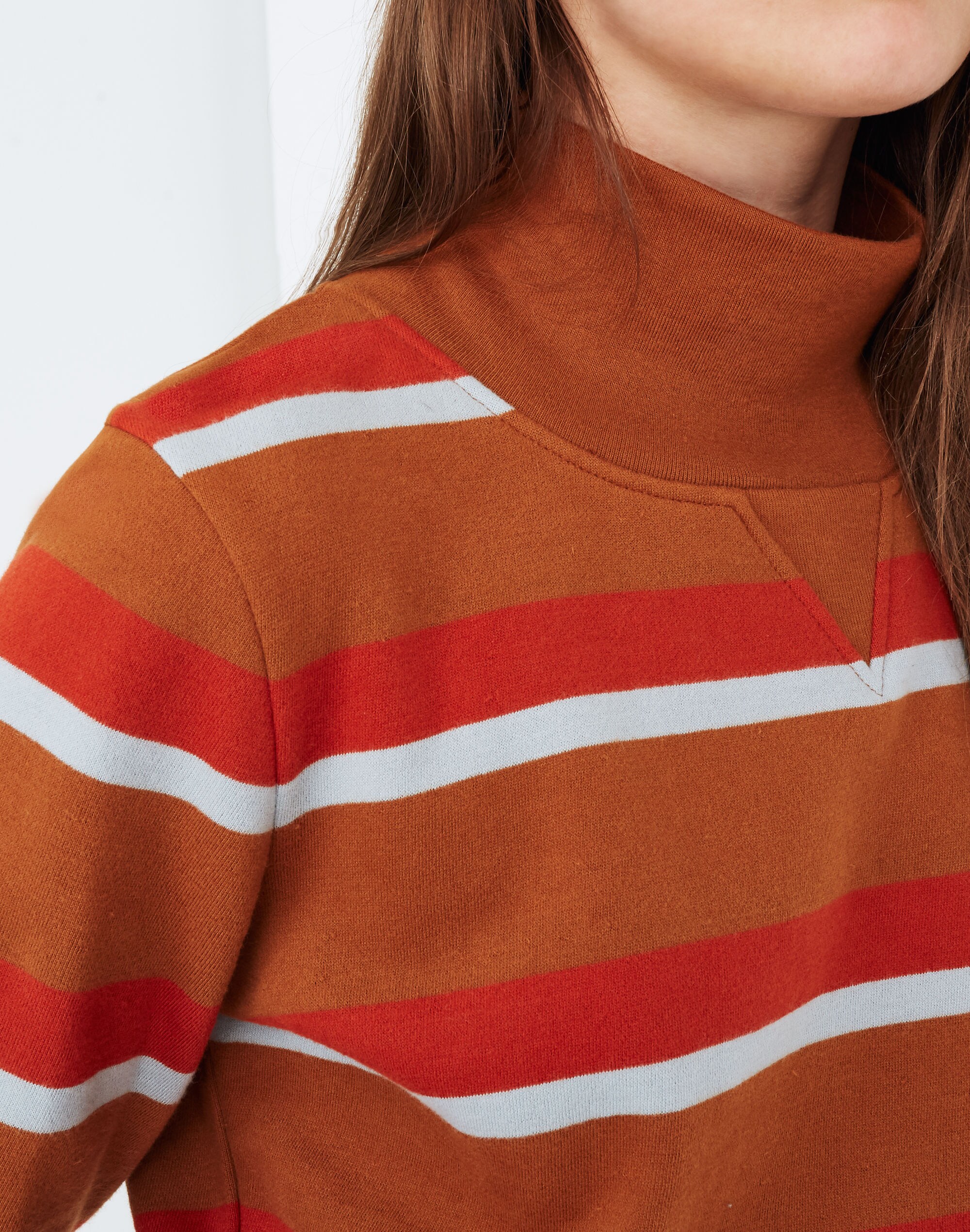 Turtleneck Sweatshirt in Stripe