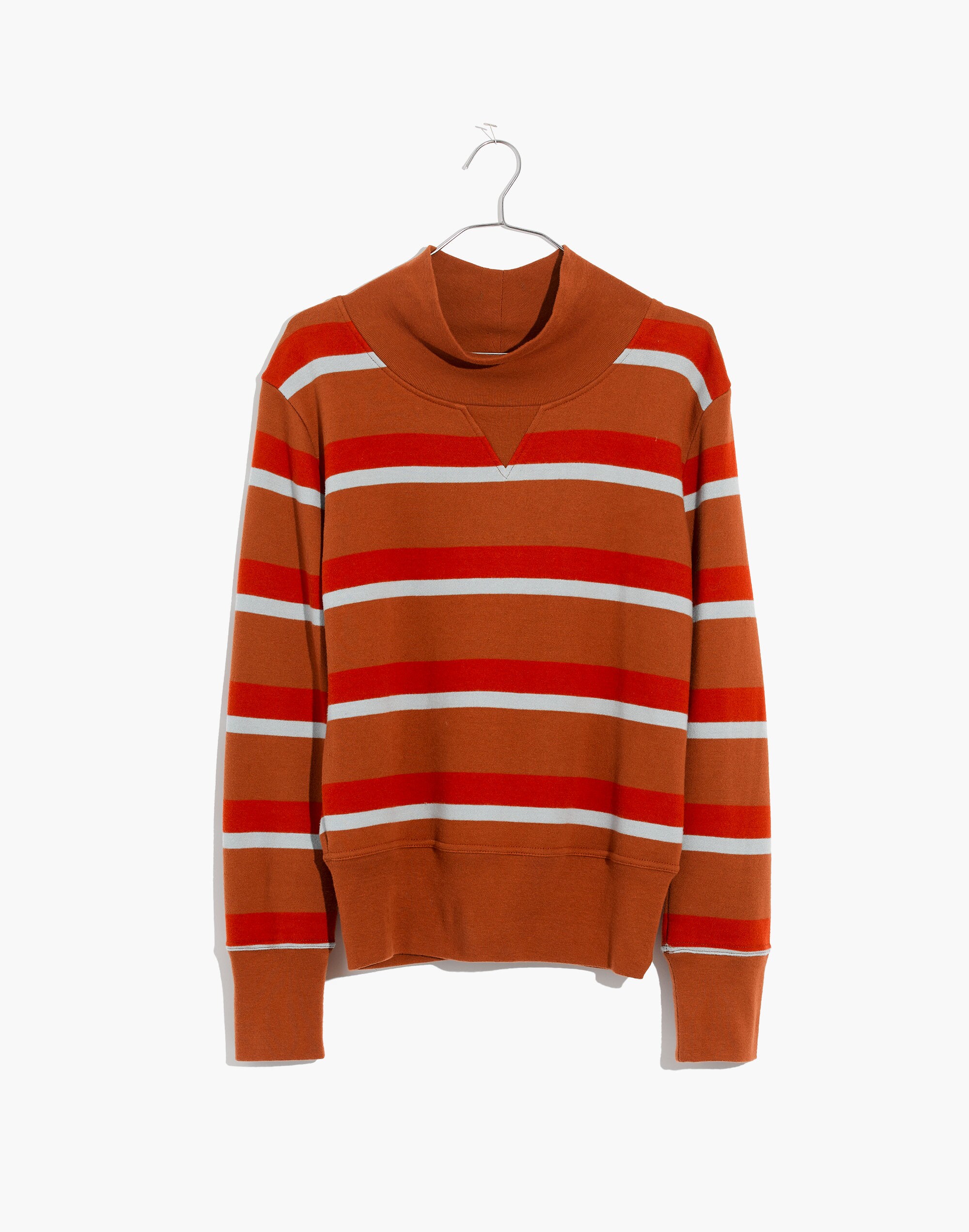 Turtleneck Sweatshirt in Stripe