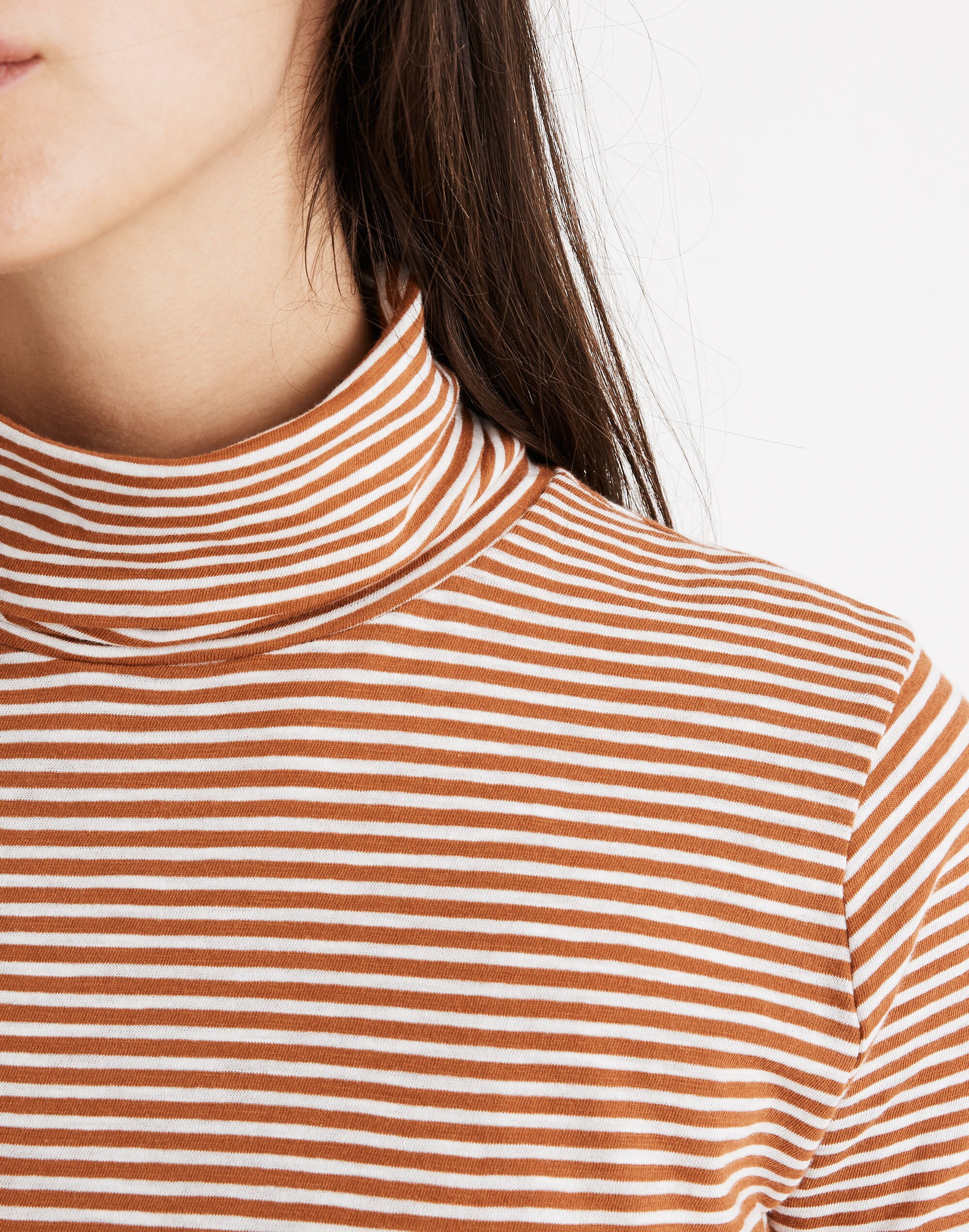 Whisper Cotton Turtleneck in Daniela Stripe
