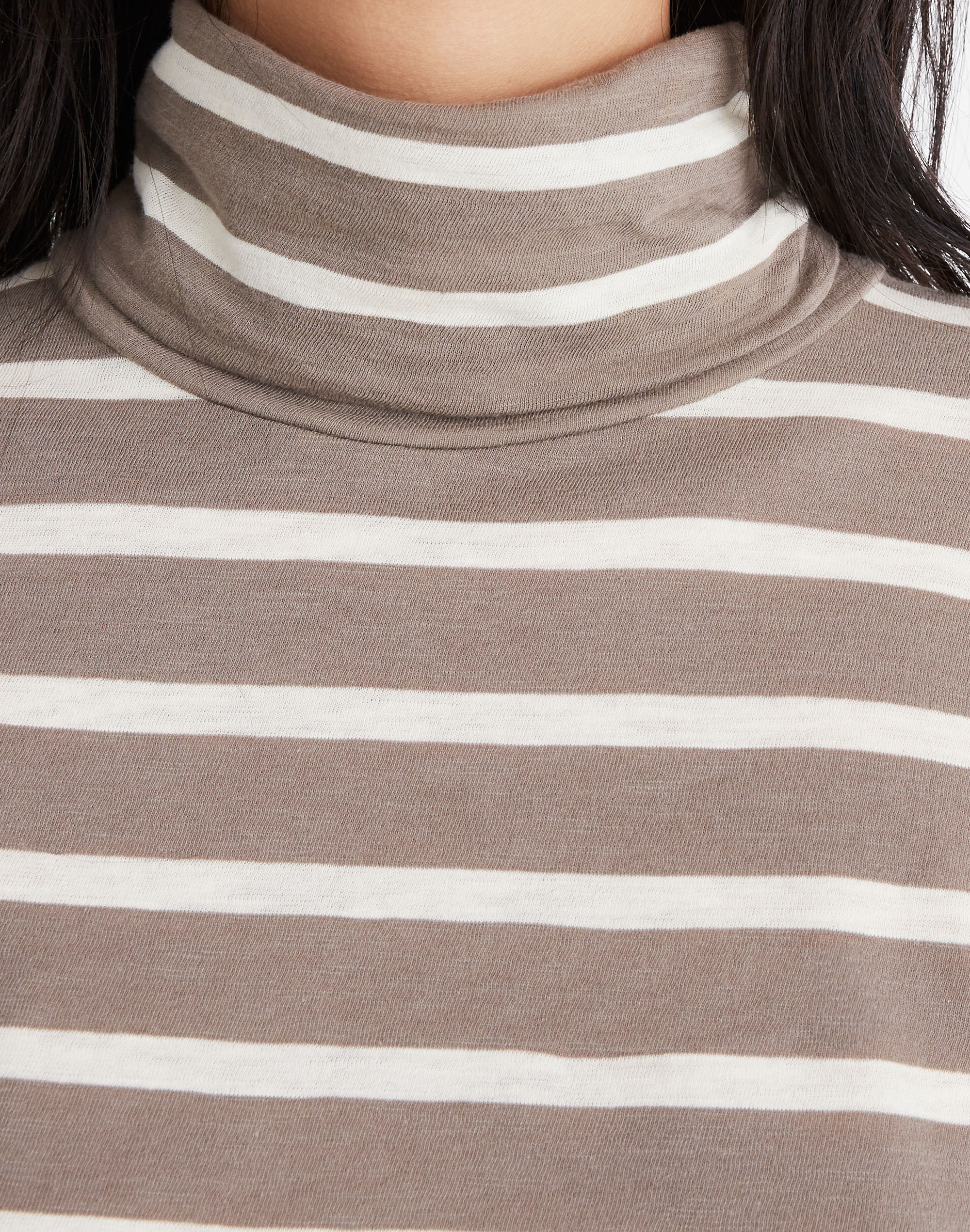 Whisper Cotton Turtleneck in Kearney Stripe