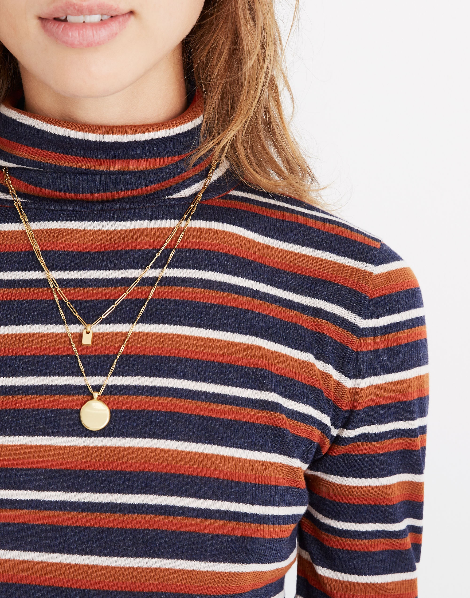Fine Ribbed Turtleneck Top in Brendan Stripe