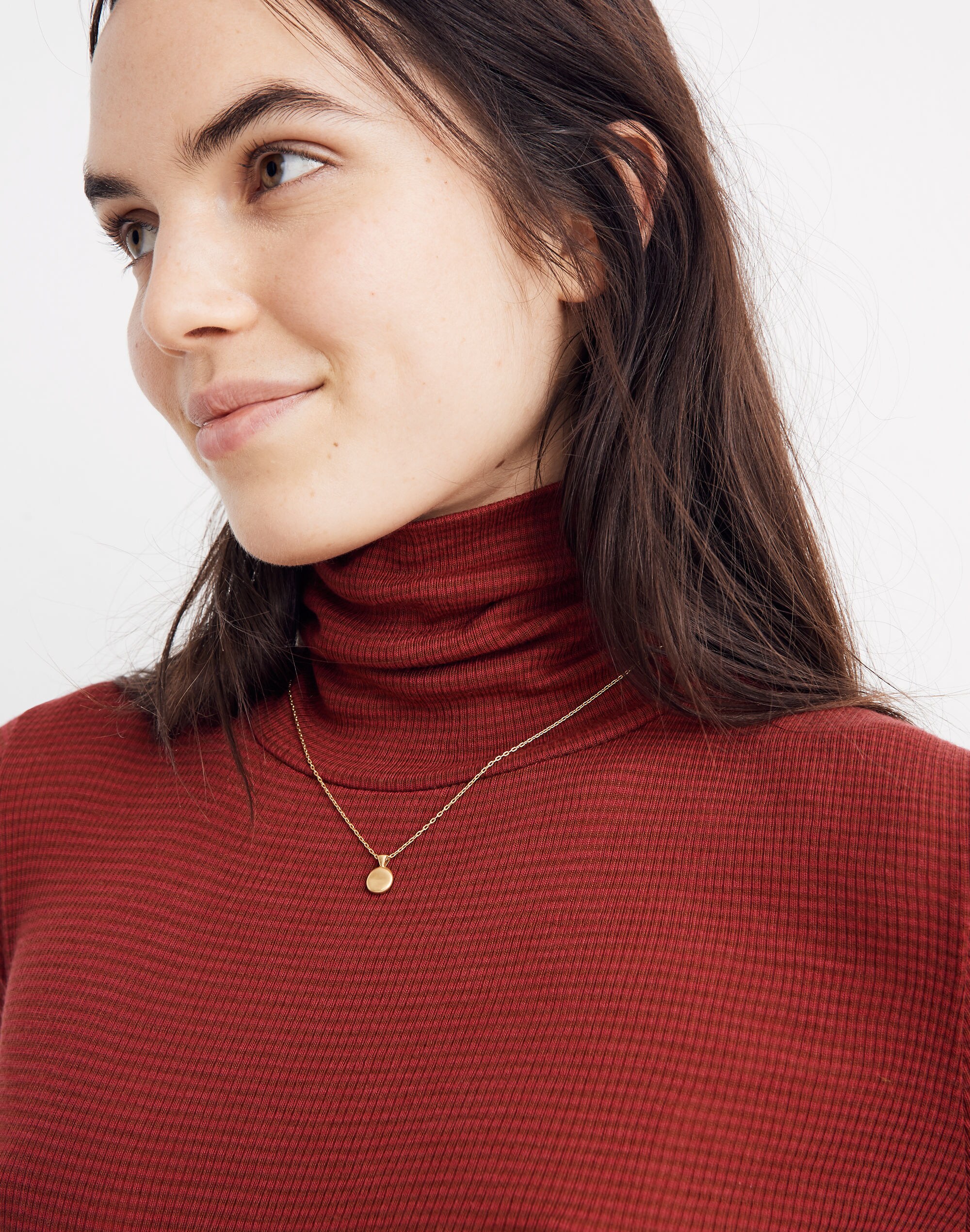 Fine Ribbed Turtleneck Top in Lesley Stripe