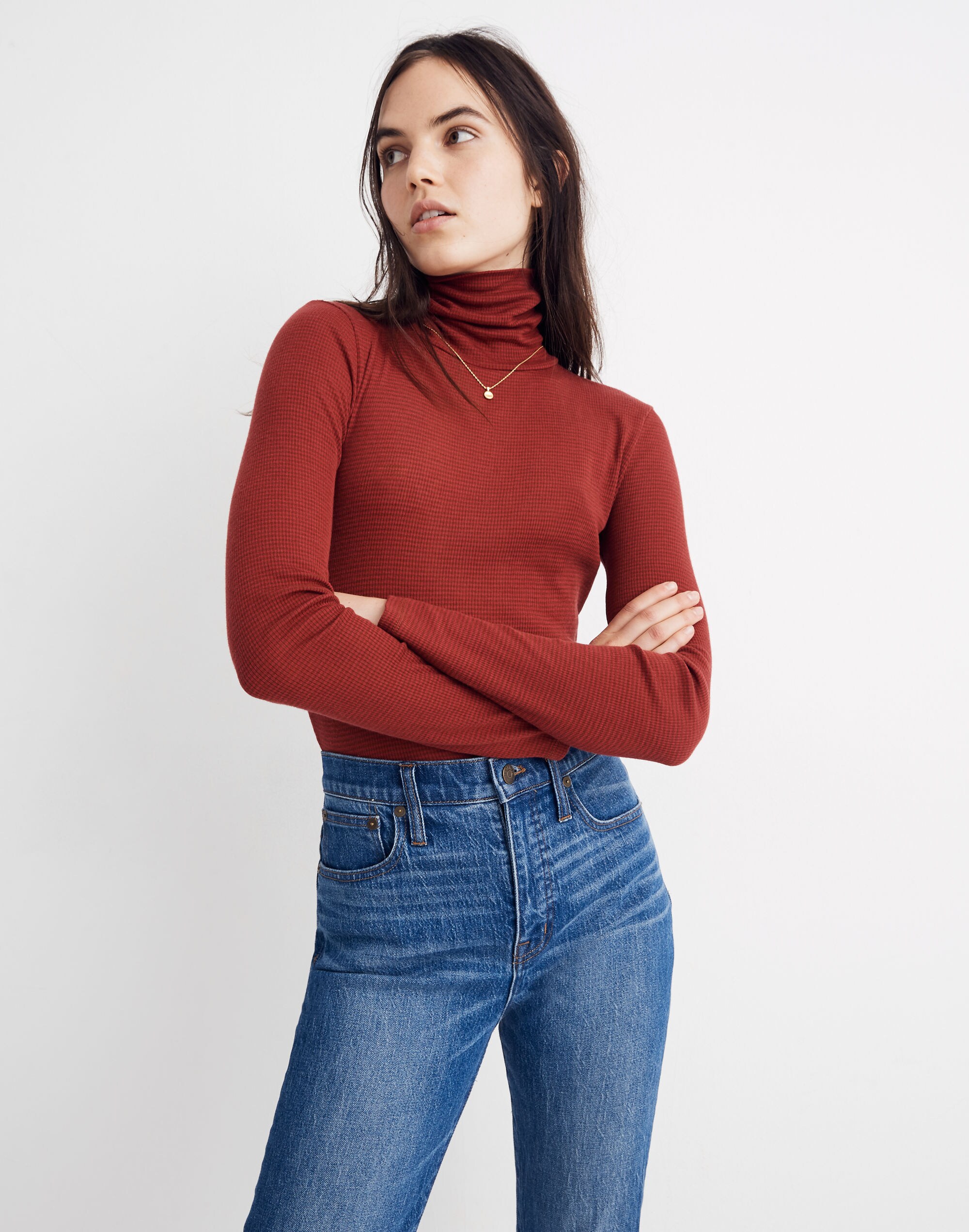 Fine Ribbed Turtleneck Top in Lesley Stripe