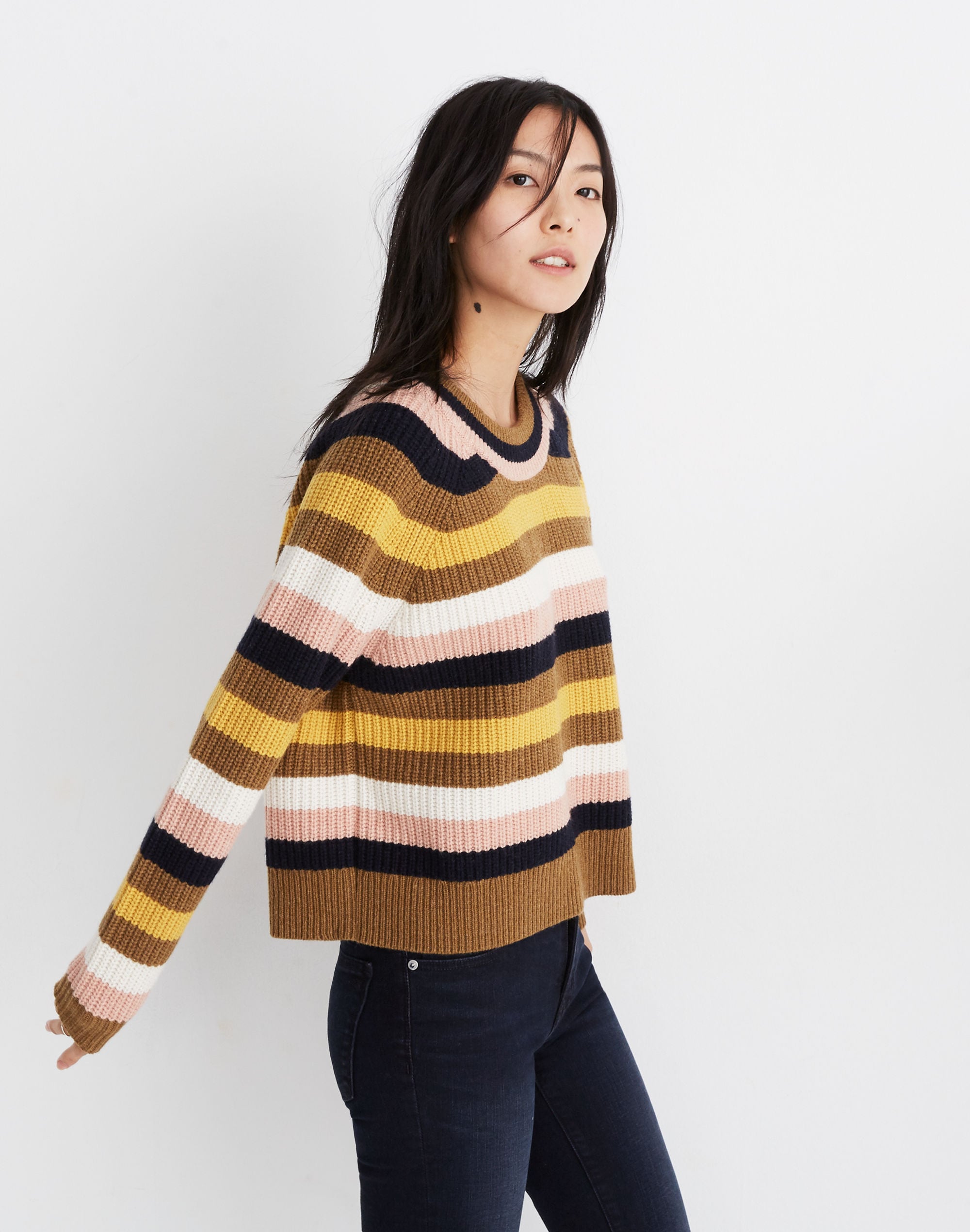 Striped Tilden Pullover Sweater