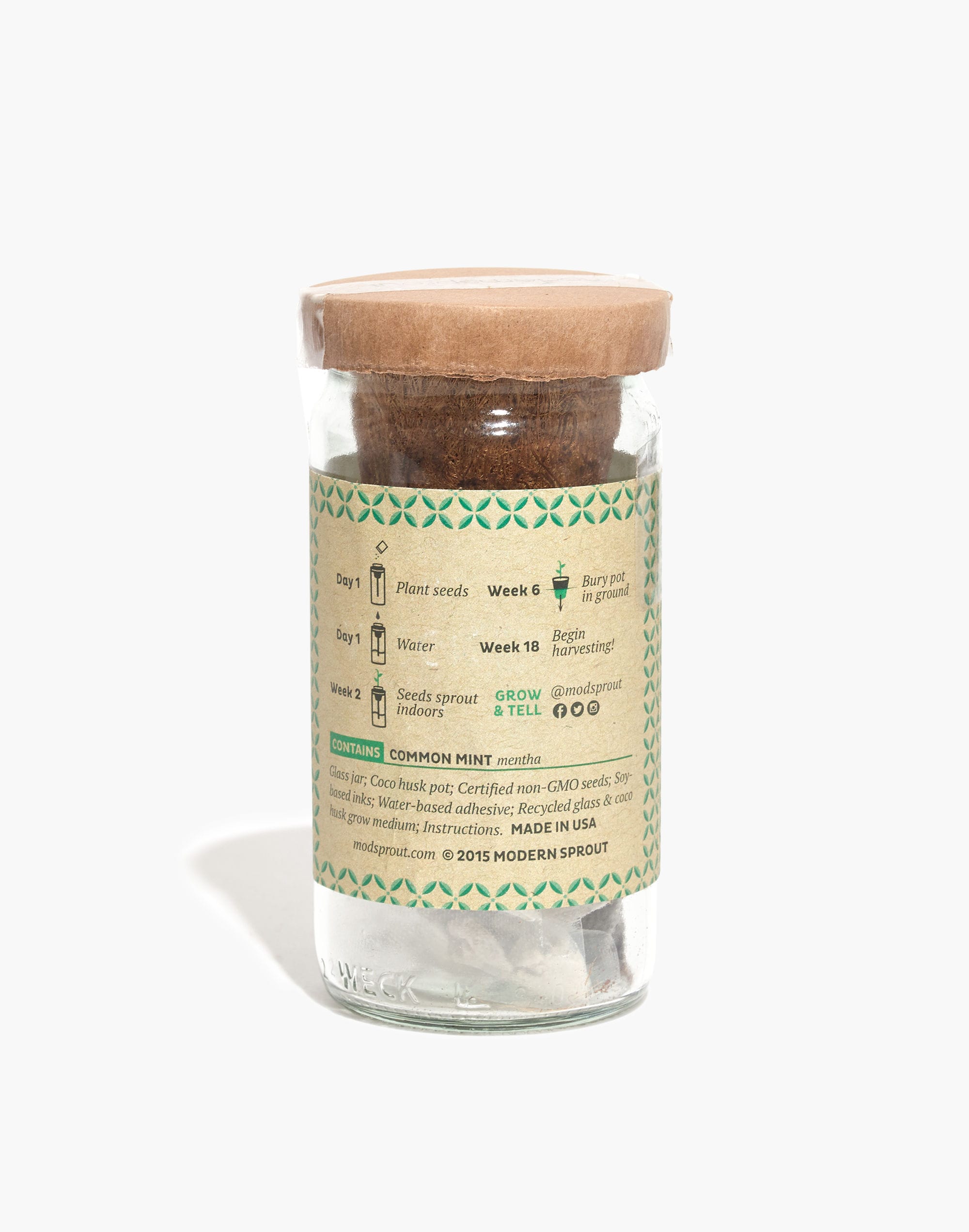 Modern Sprout&reg; Tea Eco Seed Starter Kit