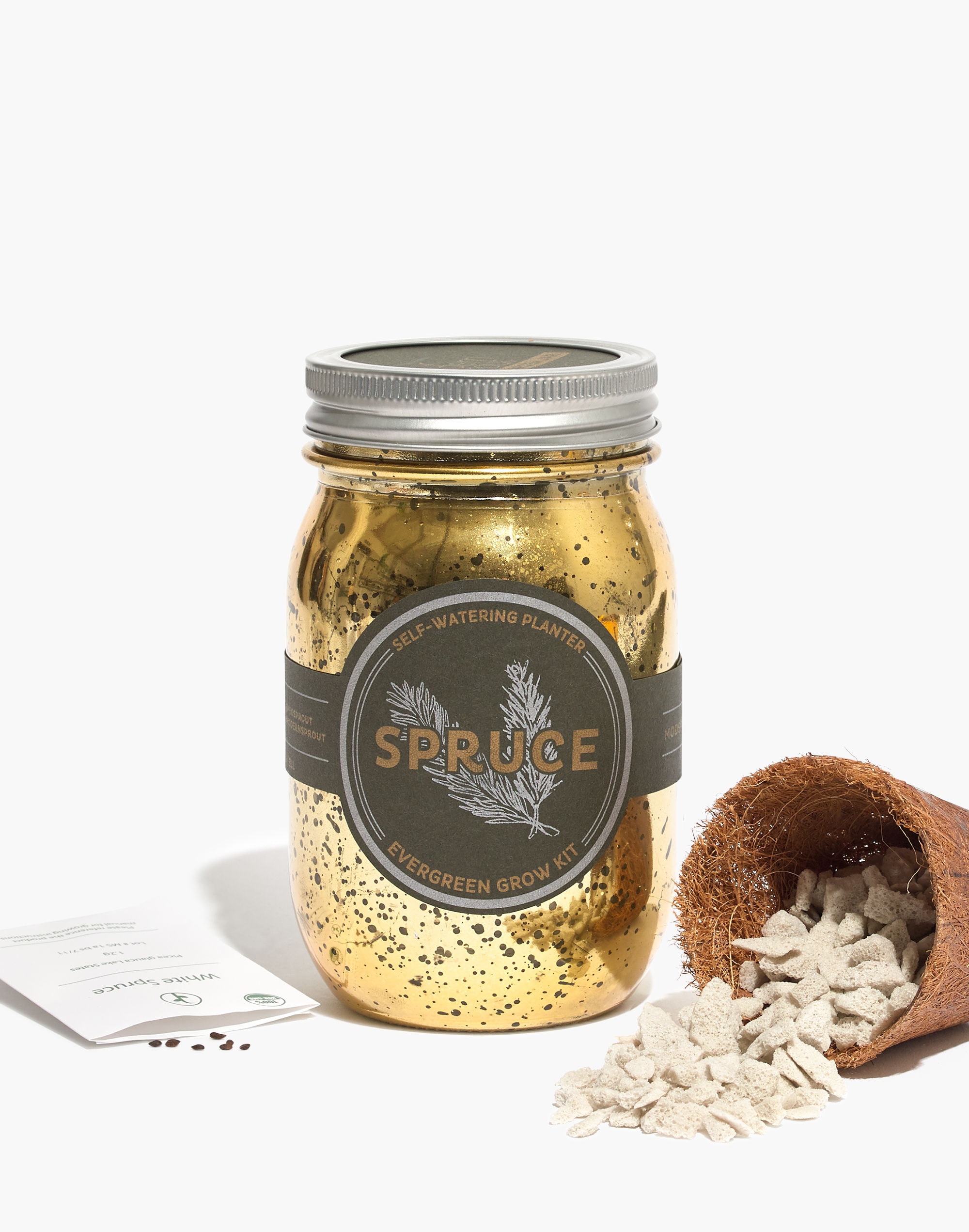 Modern Sprout&reg; Spruce Growing Kit