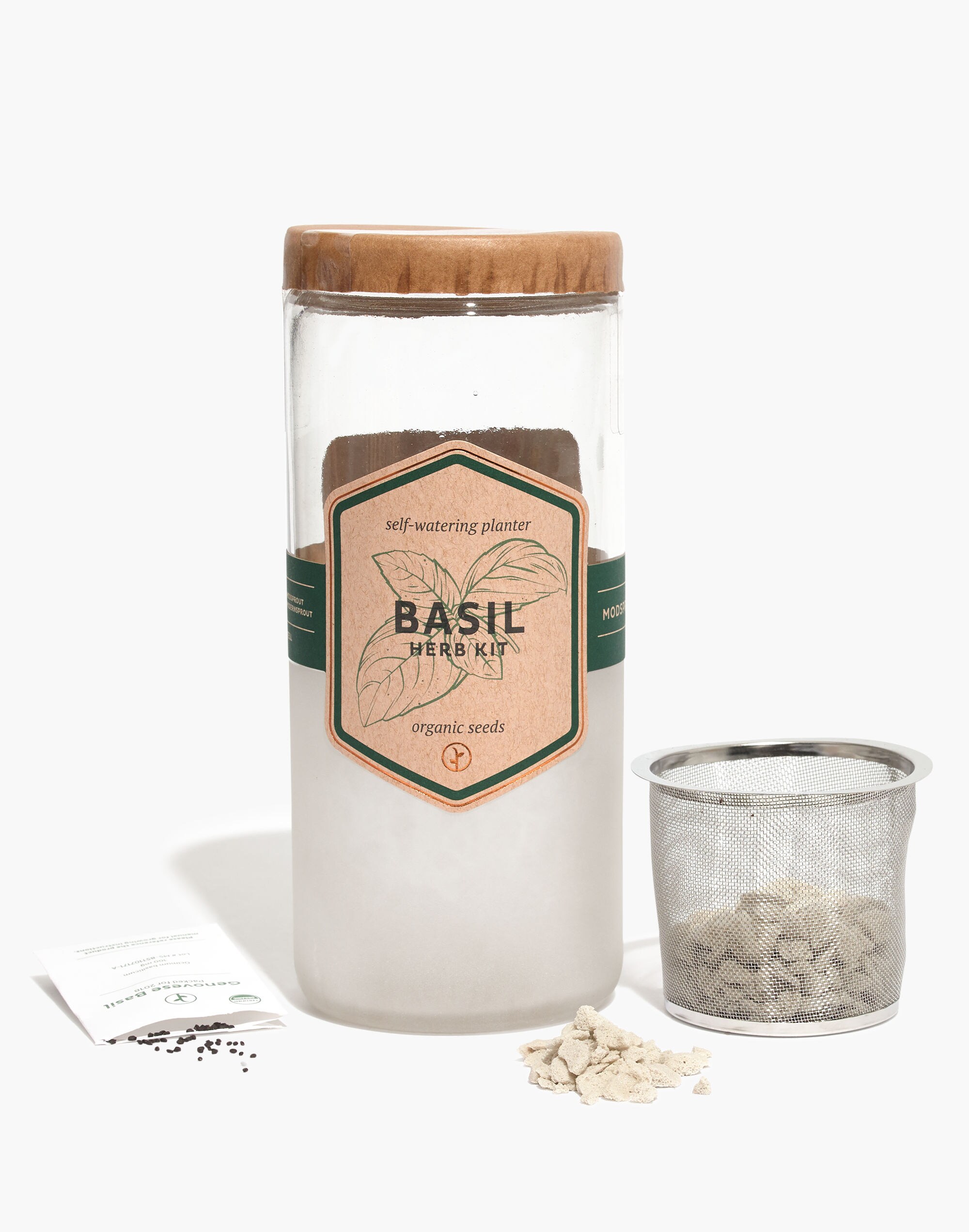 Modern Sprout&reg; Organic Basil Eco Planter