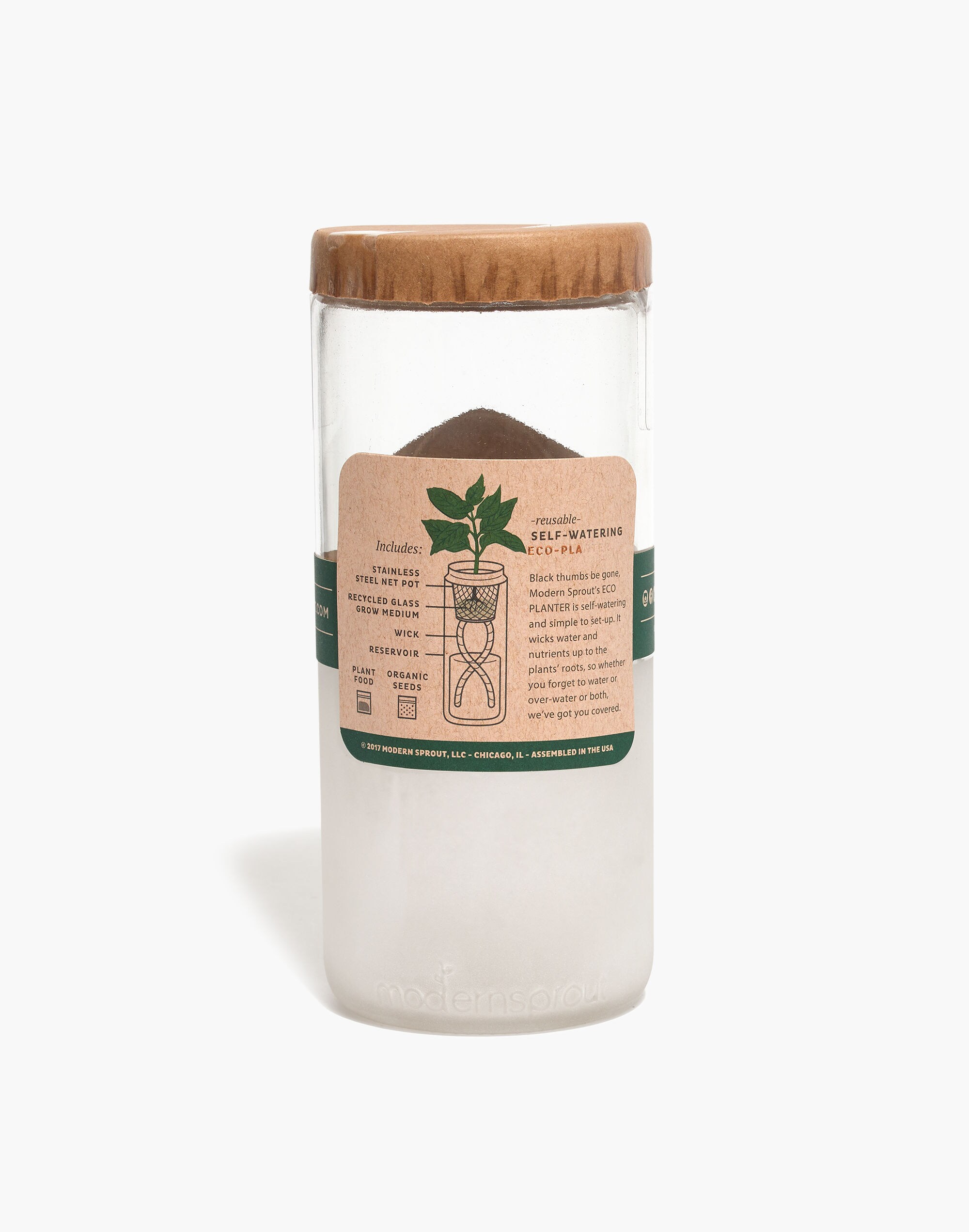 Modern Sprout&reg; Organic Basil Eco Planter