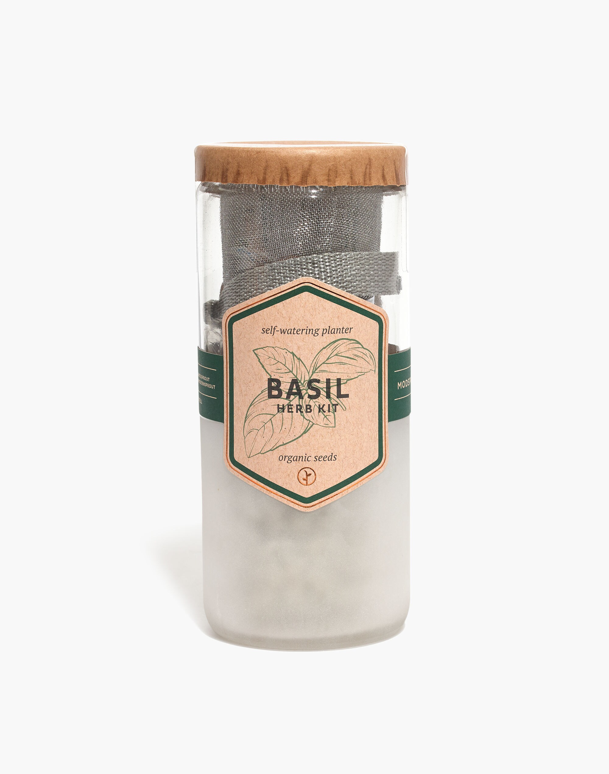 Modern Sprout&reg; Organic Basil Eco Planter