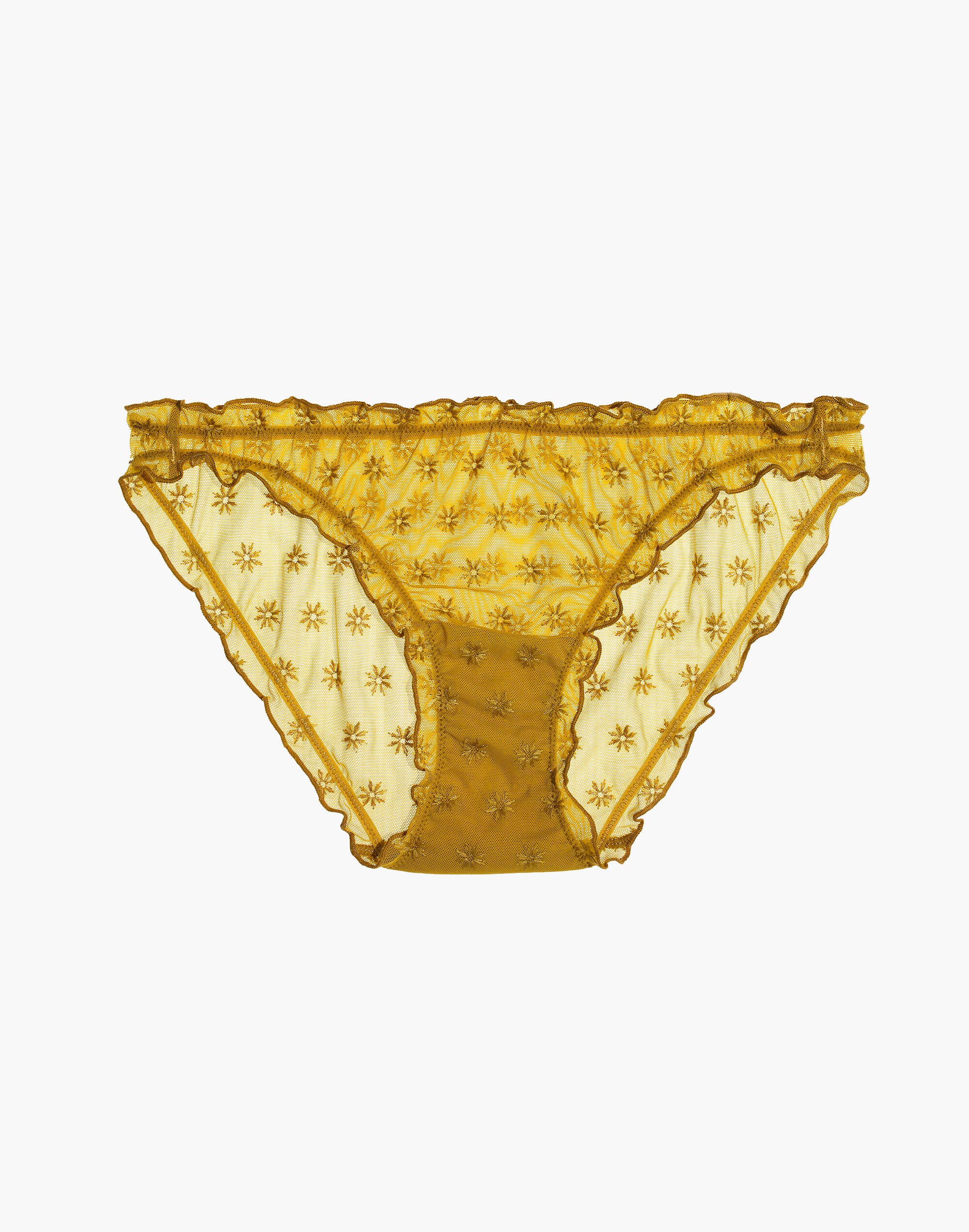 Embroidered Mesh Ruffle Bikini