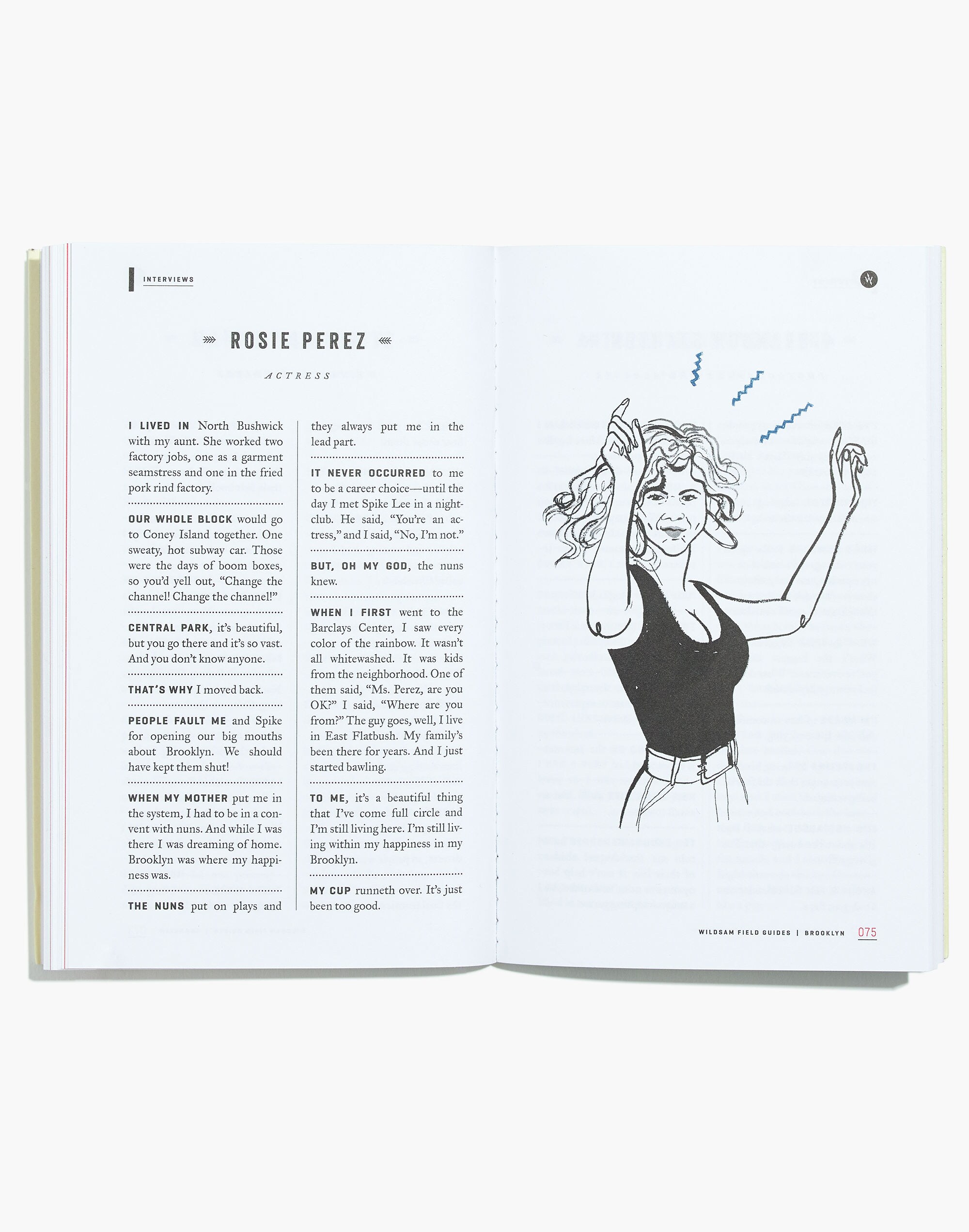Wildsam&trade; Field Guides: Brooklyn Book