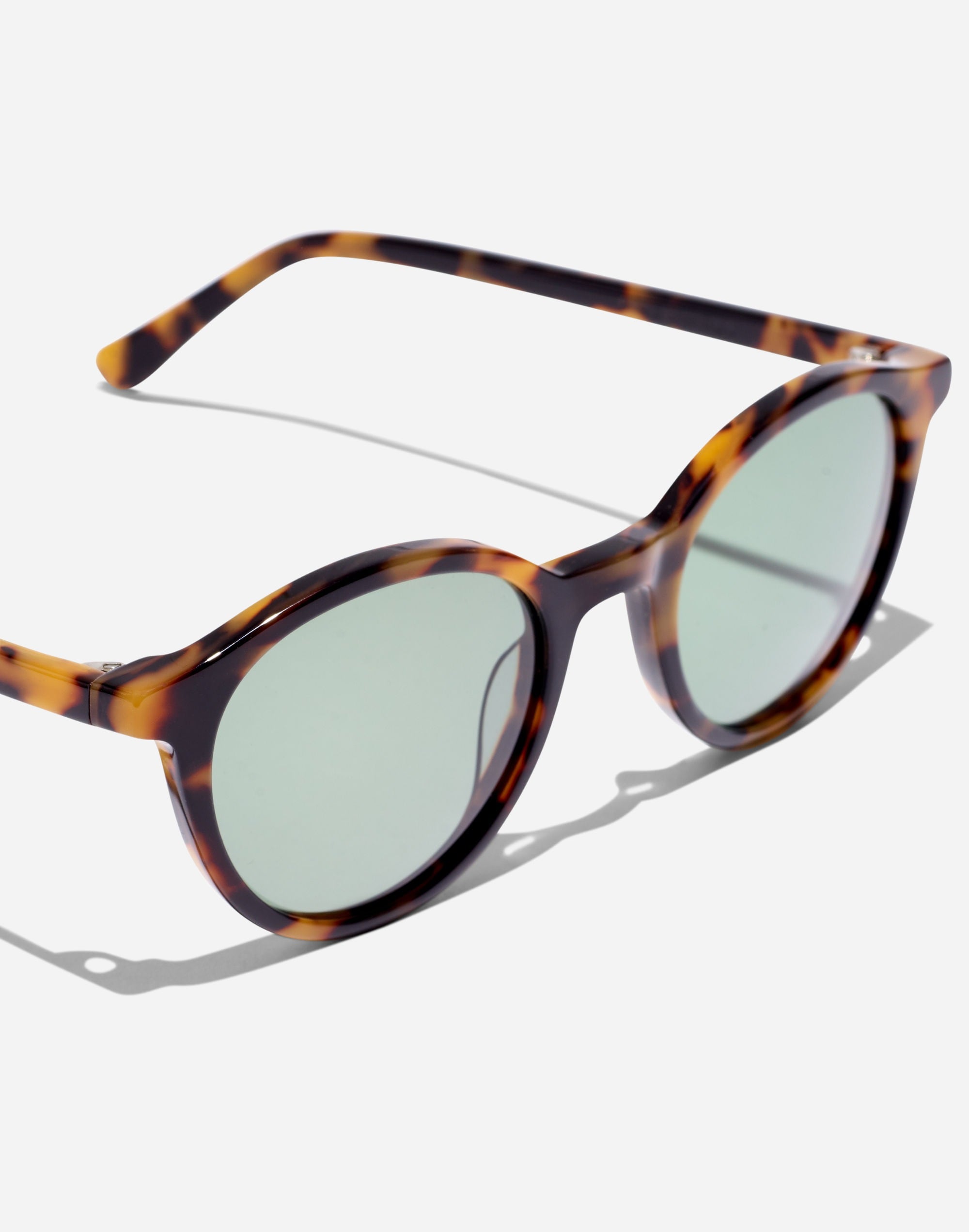 Layton Sunglasses