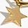 14K GOLD STAR