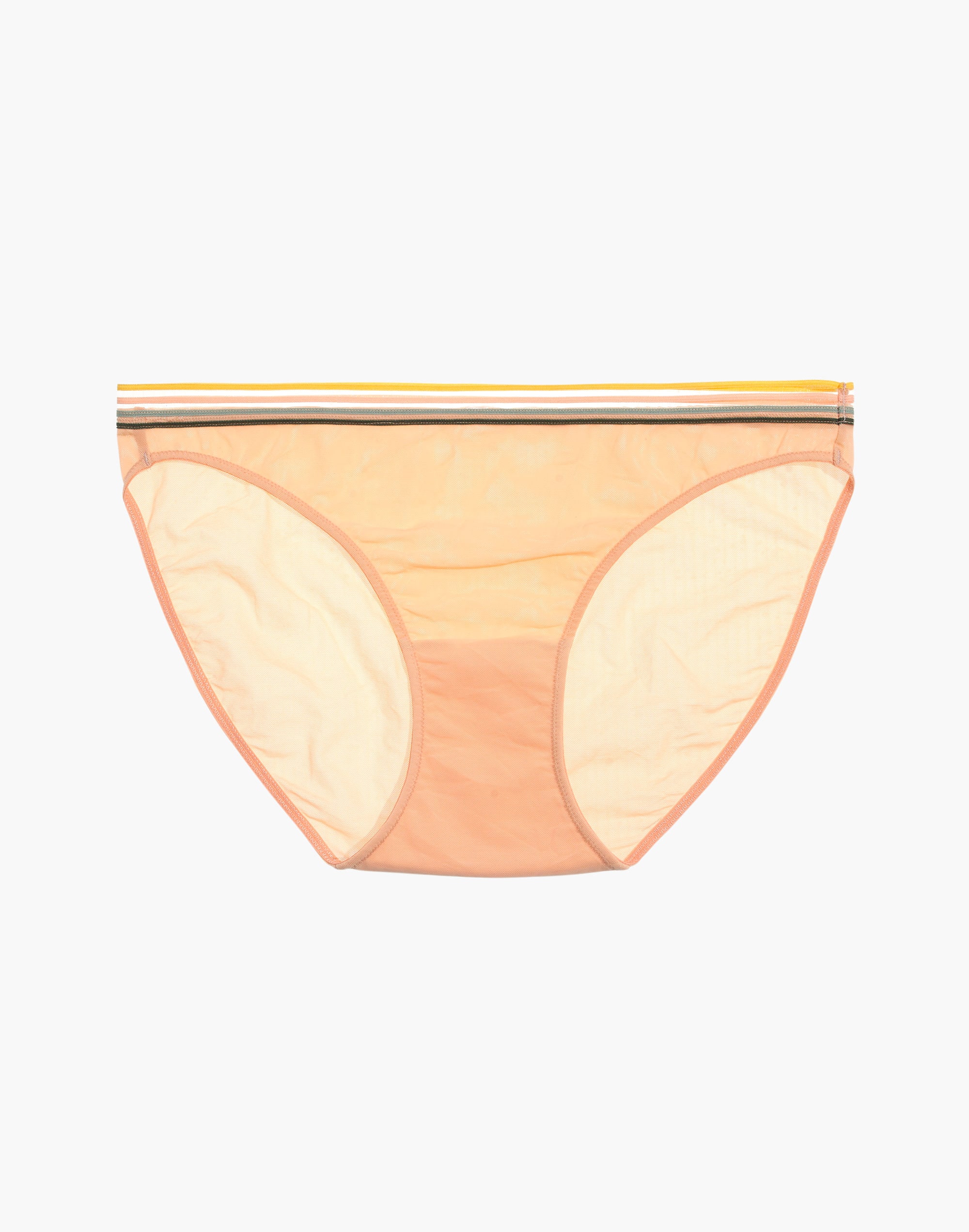 Rainbow-Trimmed Mesh Bikini