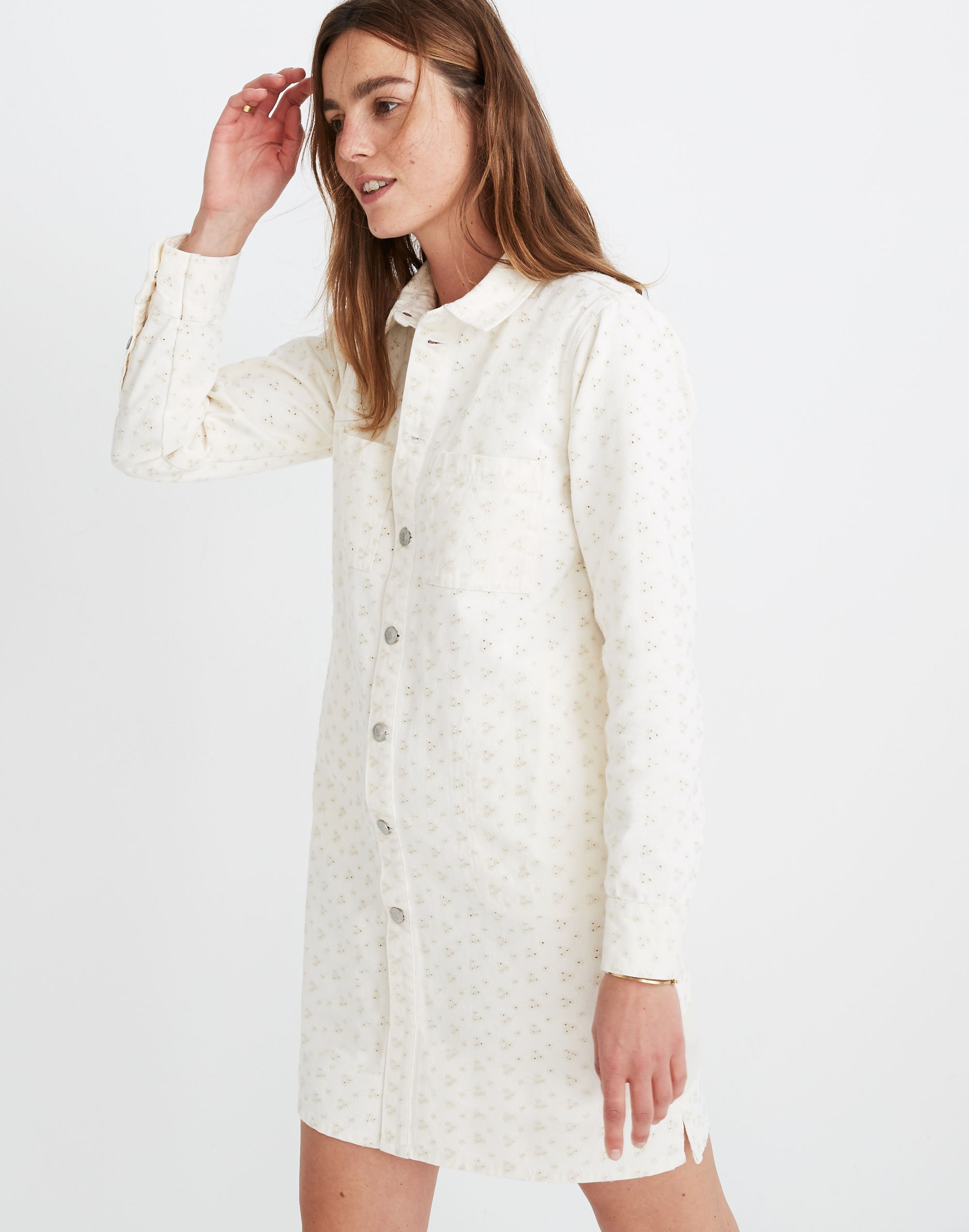 Embroidered Eyelet Denim Shirtdress