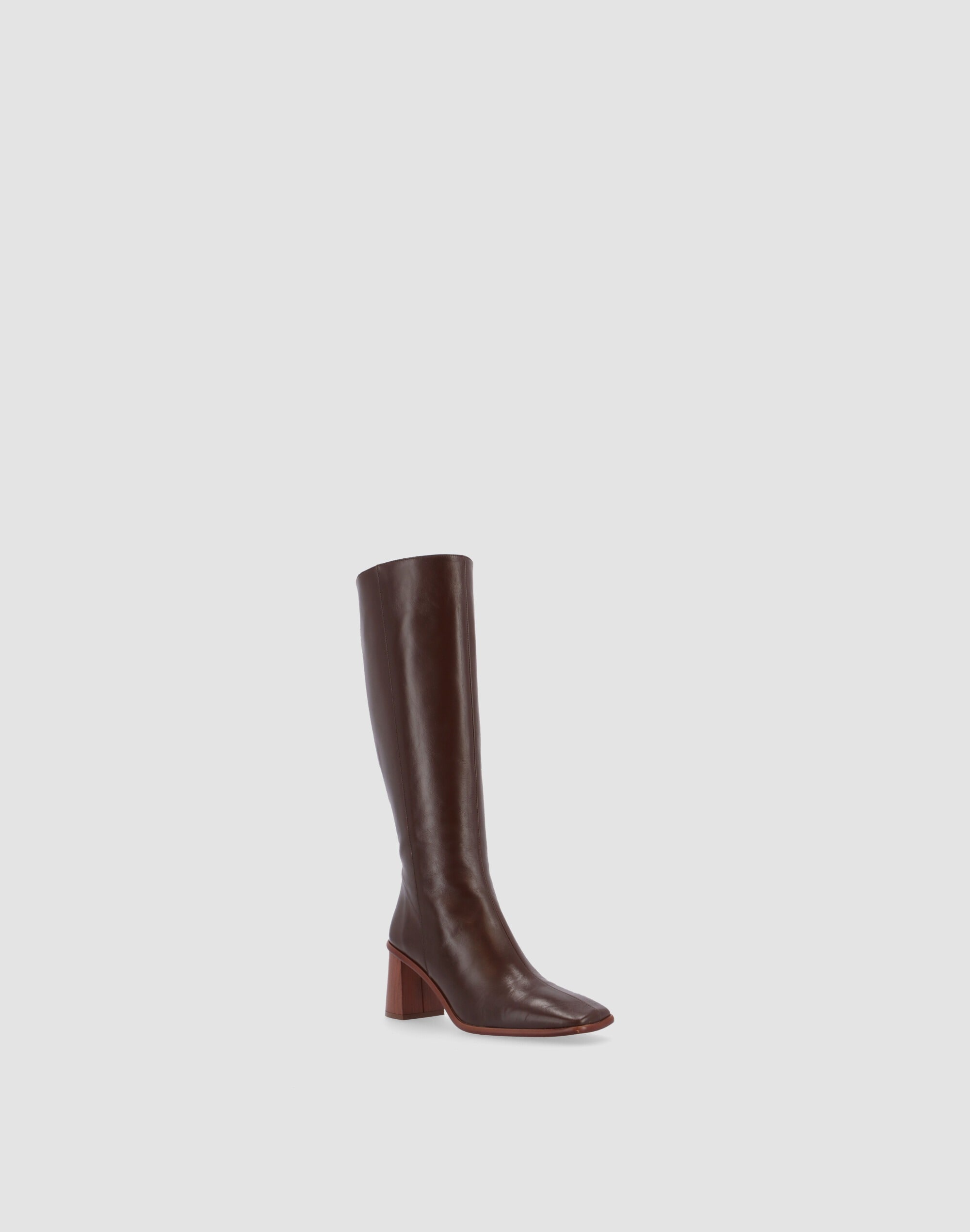 Mw Alohas Leather East Knee-high Boots In Brown