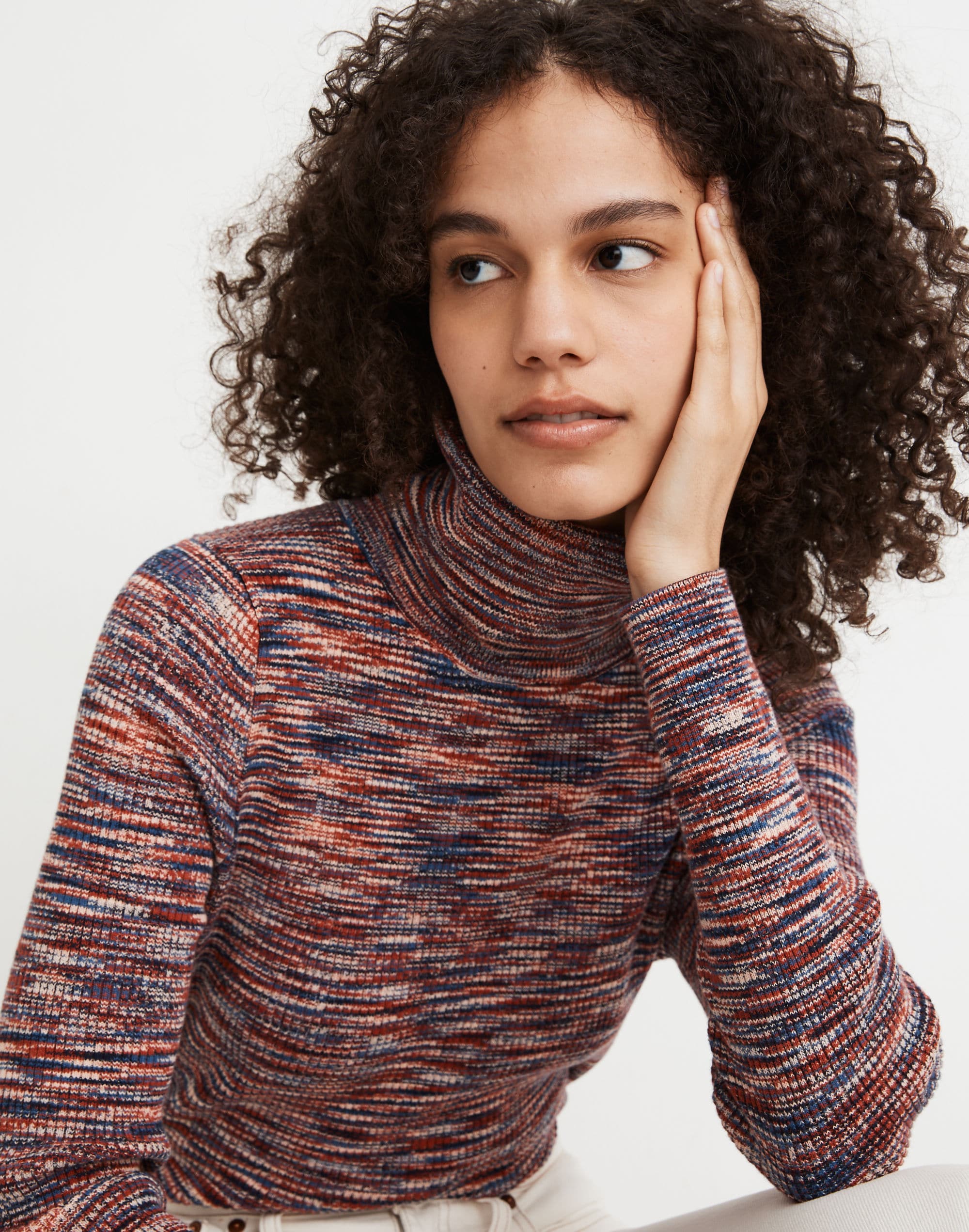 Space-Dye Robeson Turtleneck Sweater