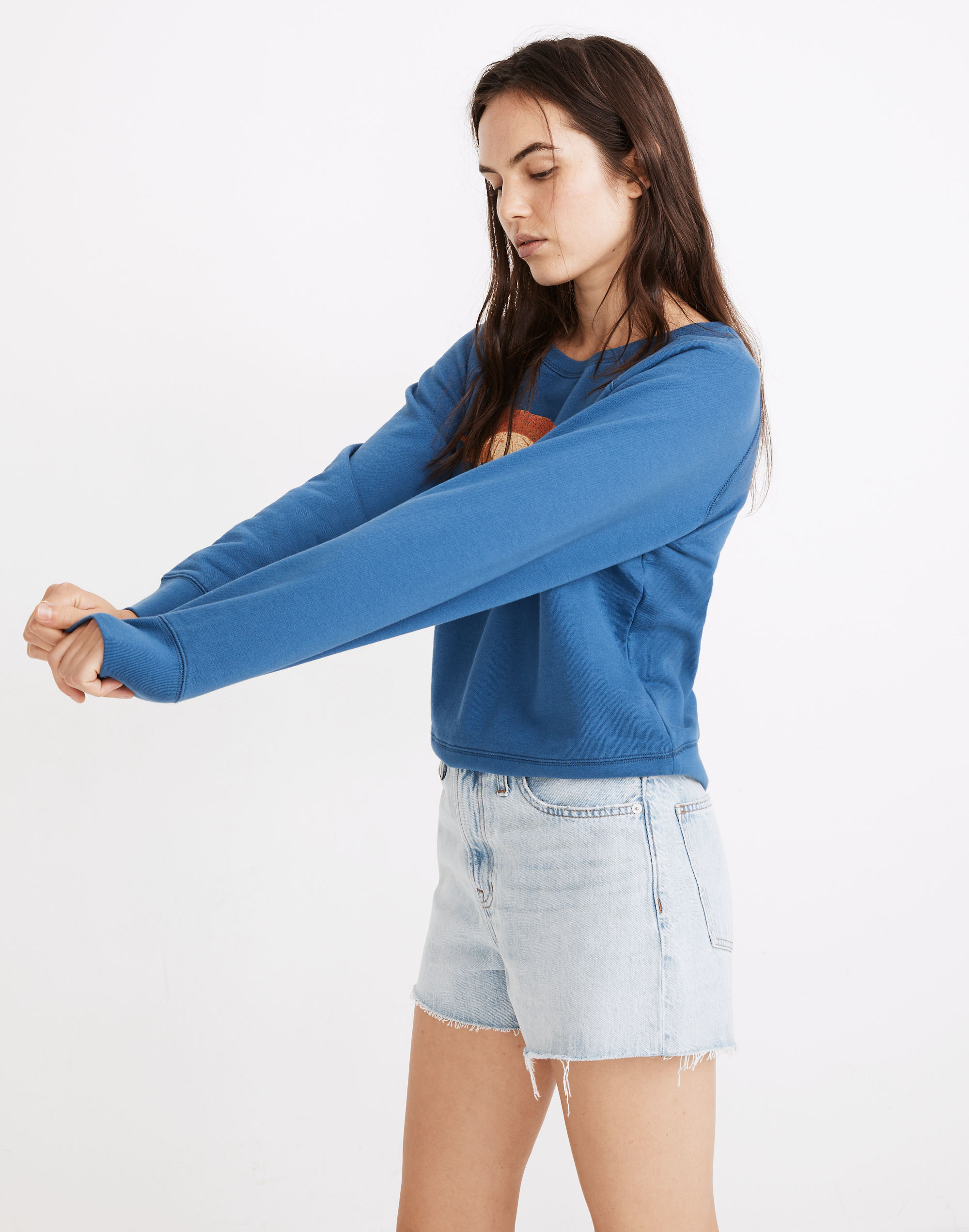 Balloon Festival Graphic Shrunken Sweatshirt