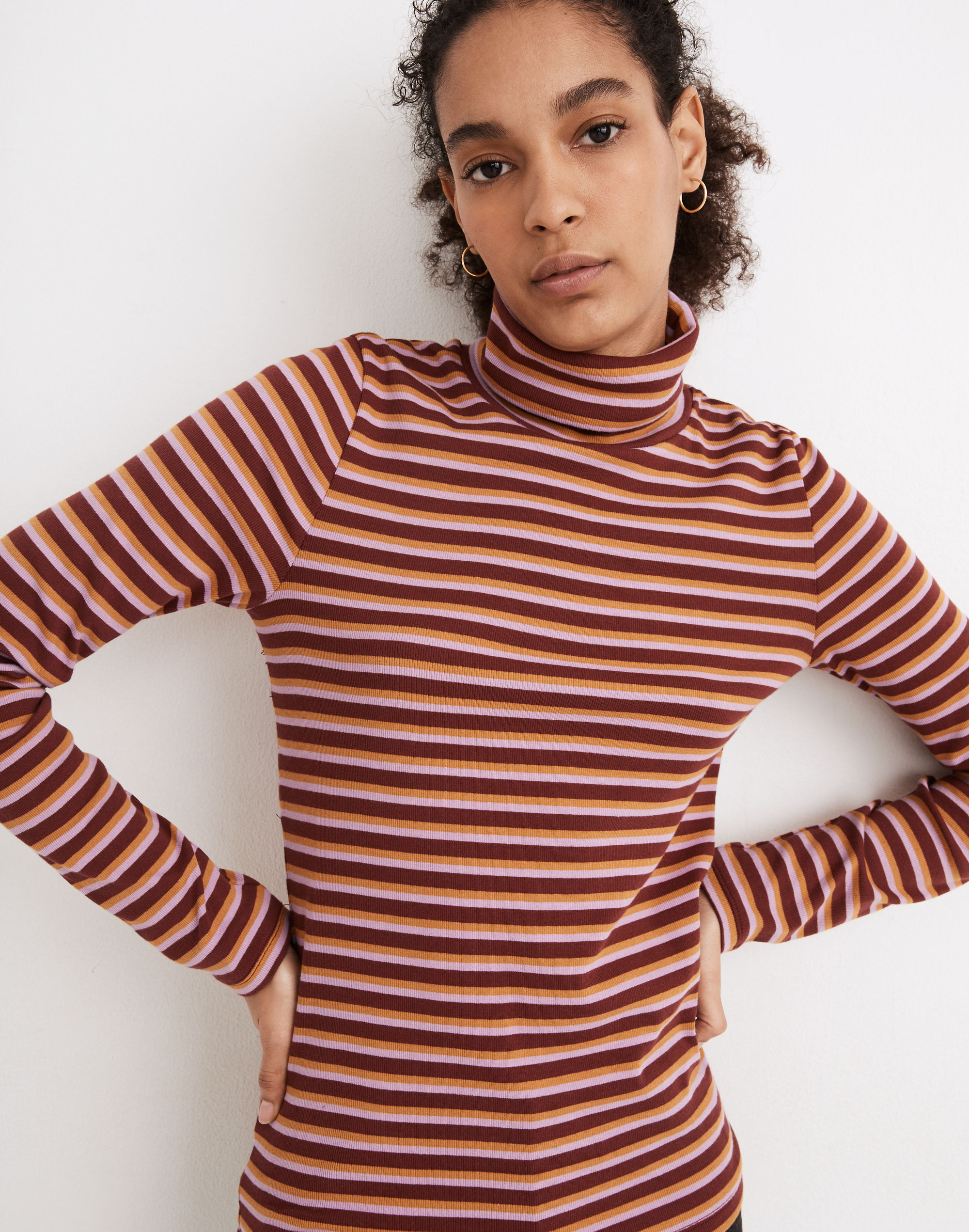 ribbed turtleneck top in chilton stripe