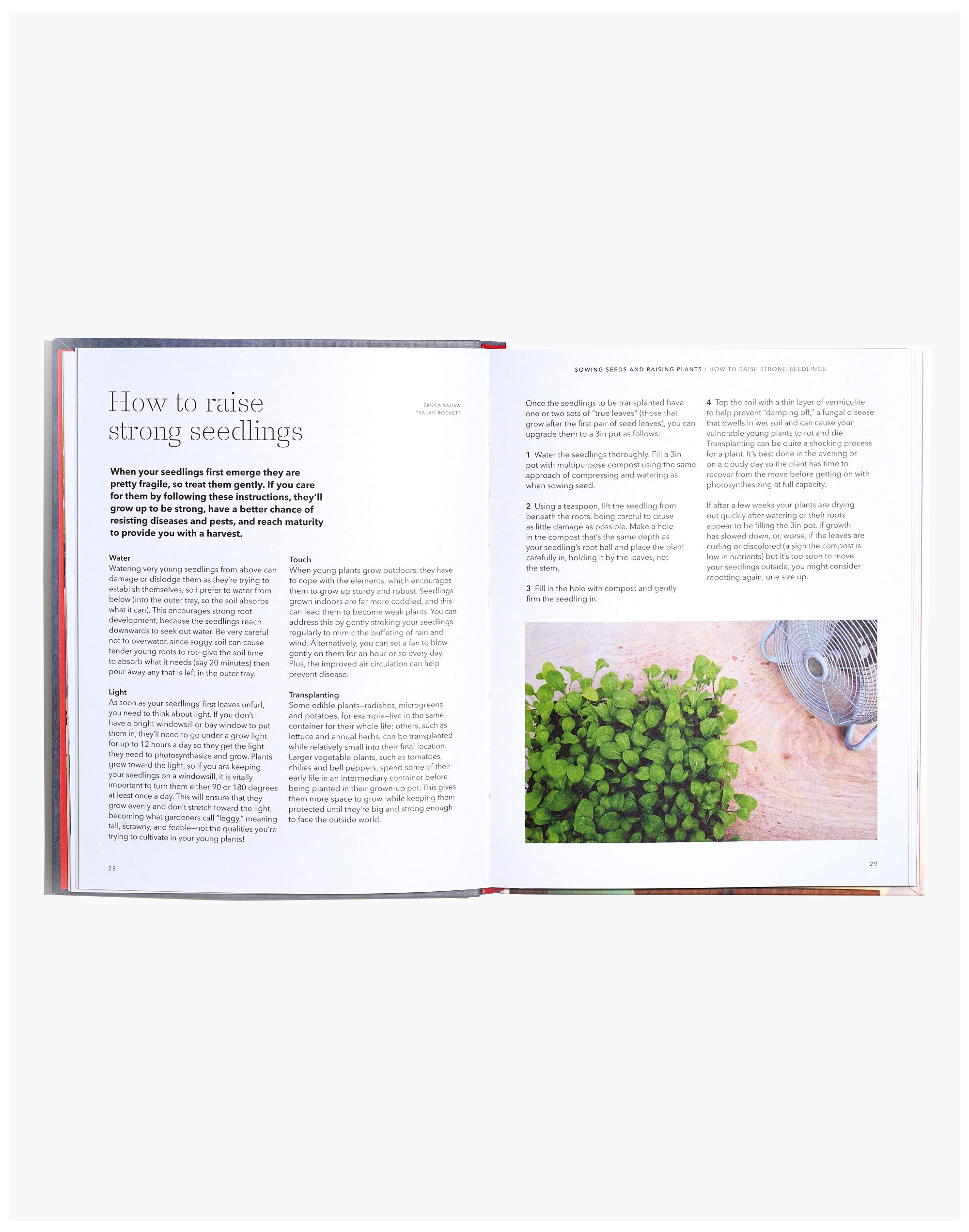 How to Grow Your Dinner Without Leaving the House Book