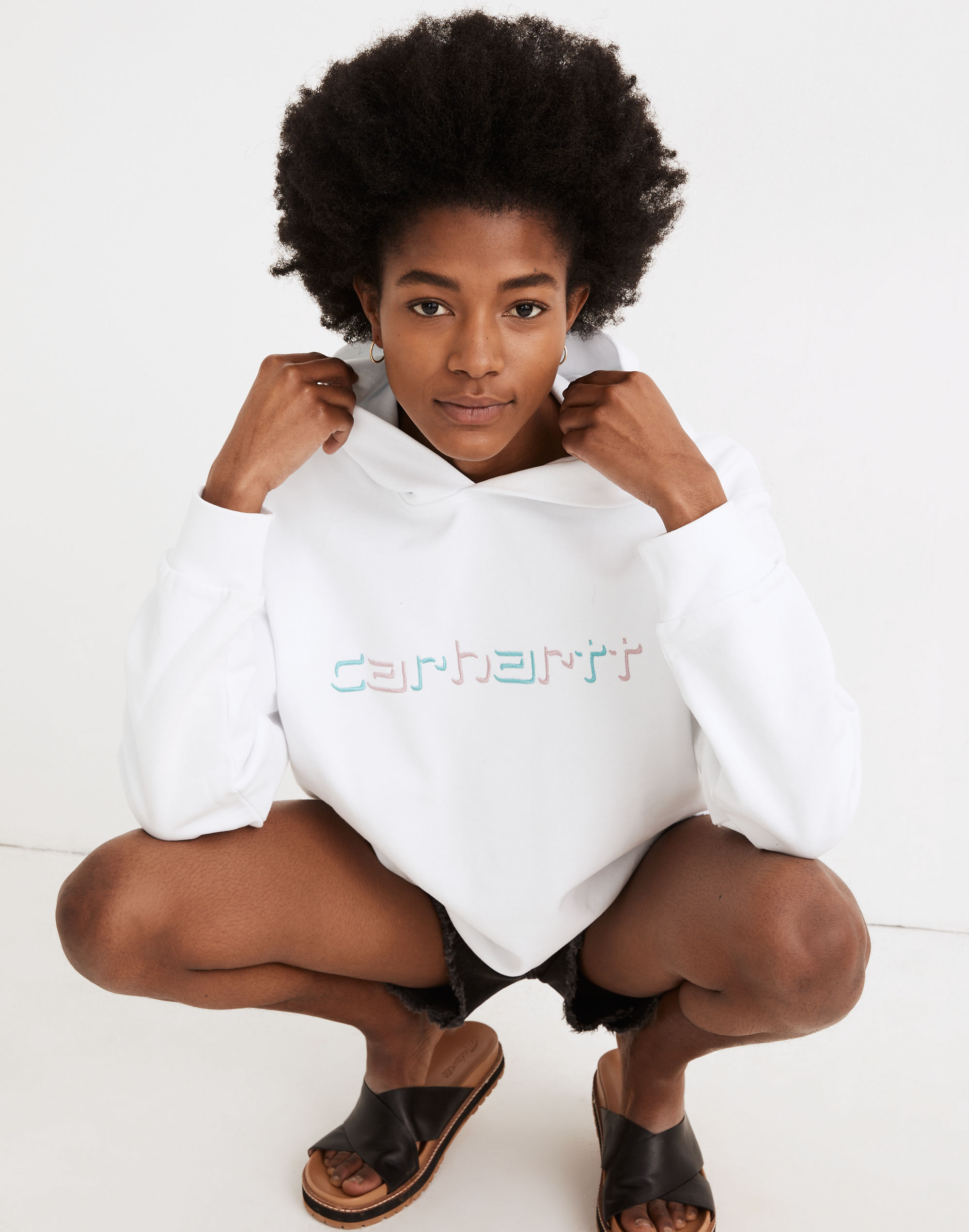 Carhartt&reg; Work in Progress Script Hoodie Sweatshirt