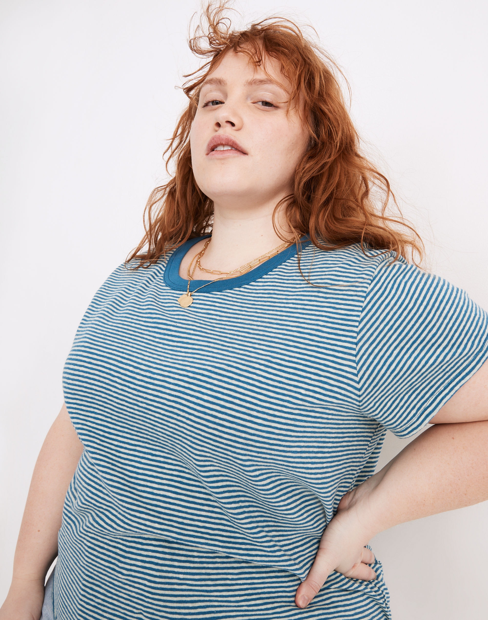 The Plus Perfect Vintage Tee in Parnell Stripe