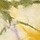 FADED SEAGRASS