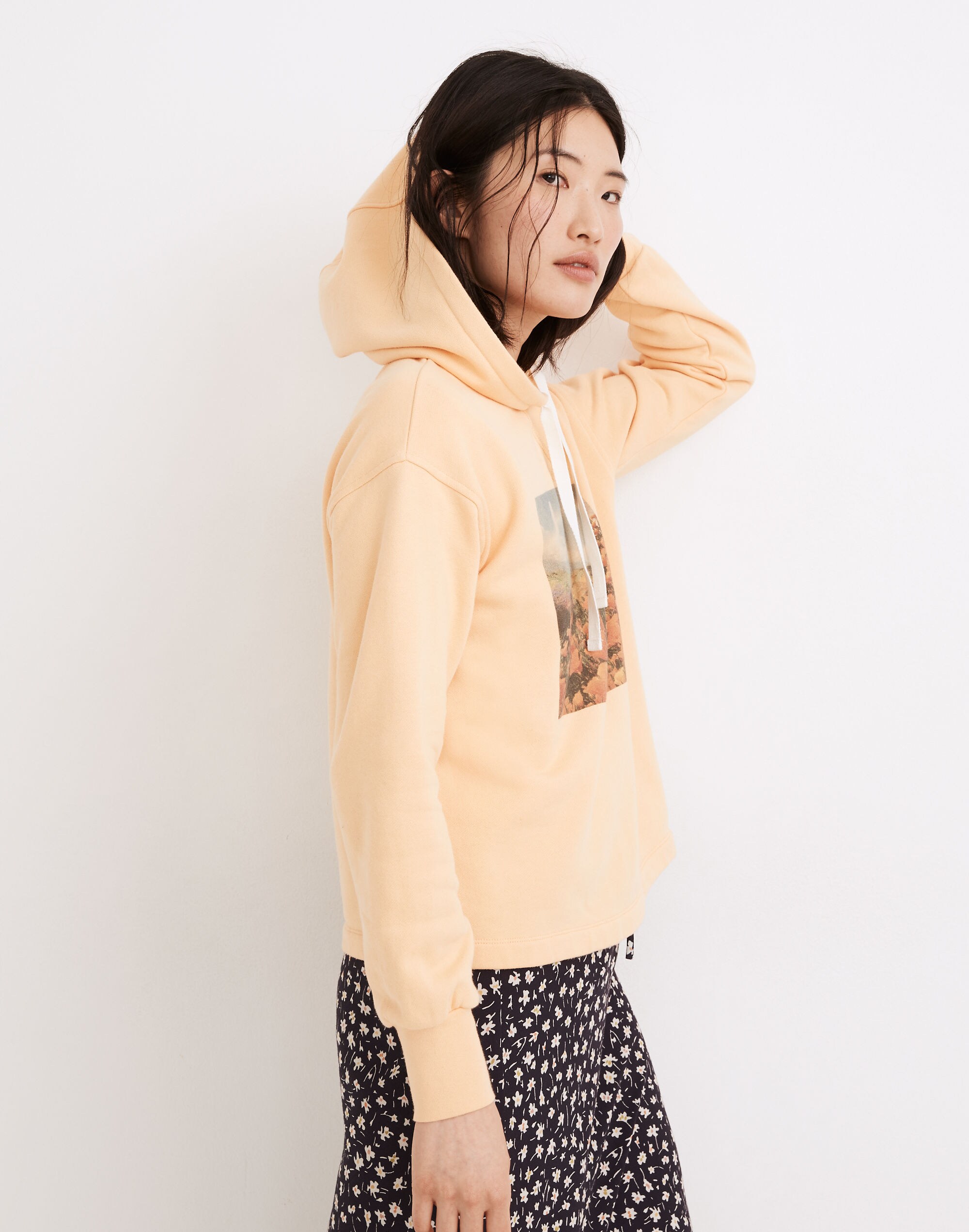 Madewell x Siobh&aacute;n O'Dwyer Poppy Landscape Hoodie Sweatshirt