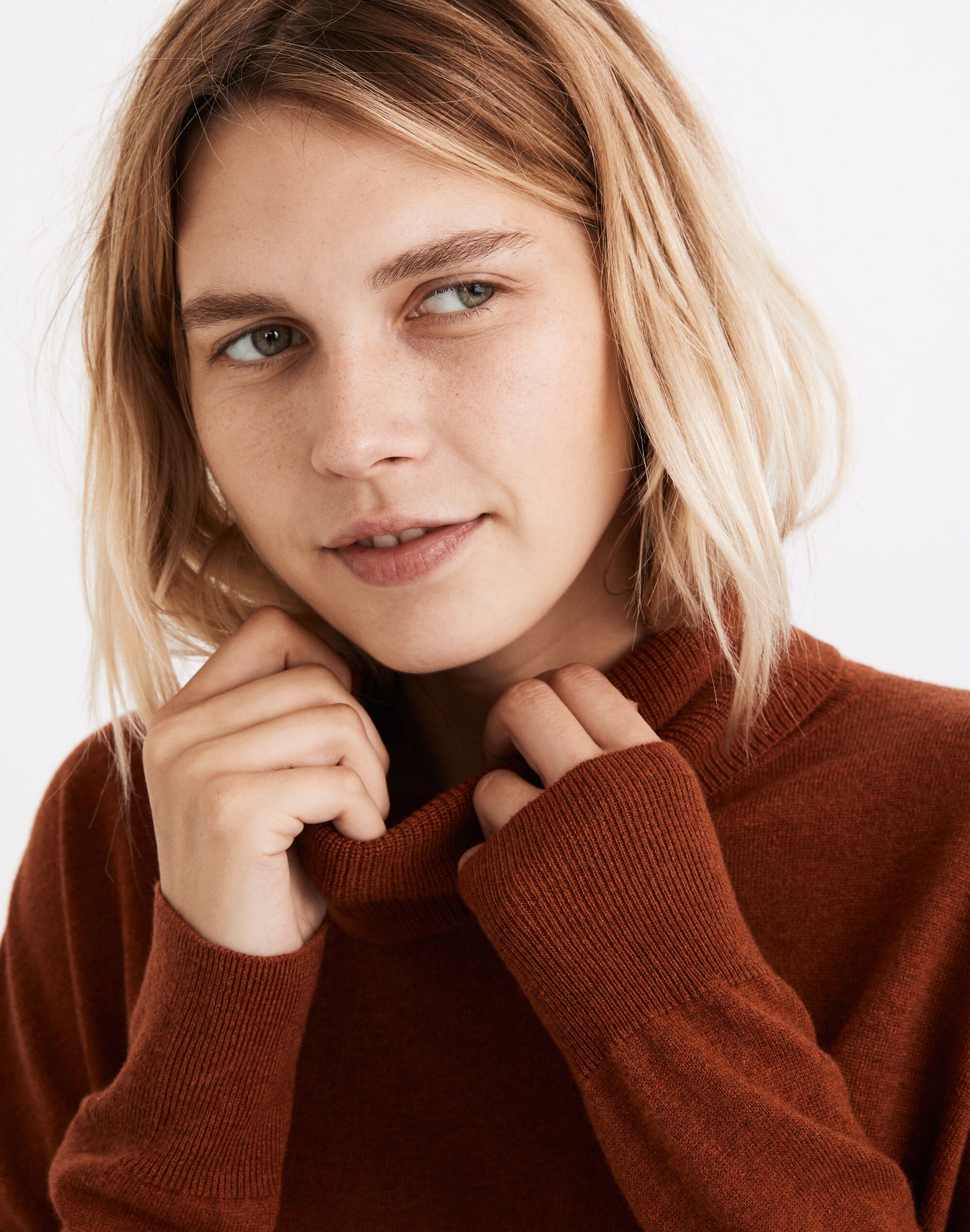 brookhaven-turtleneck-sweater-madewell