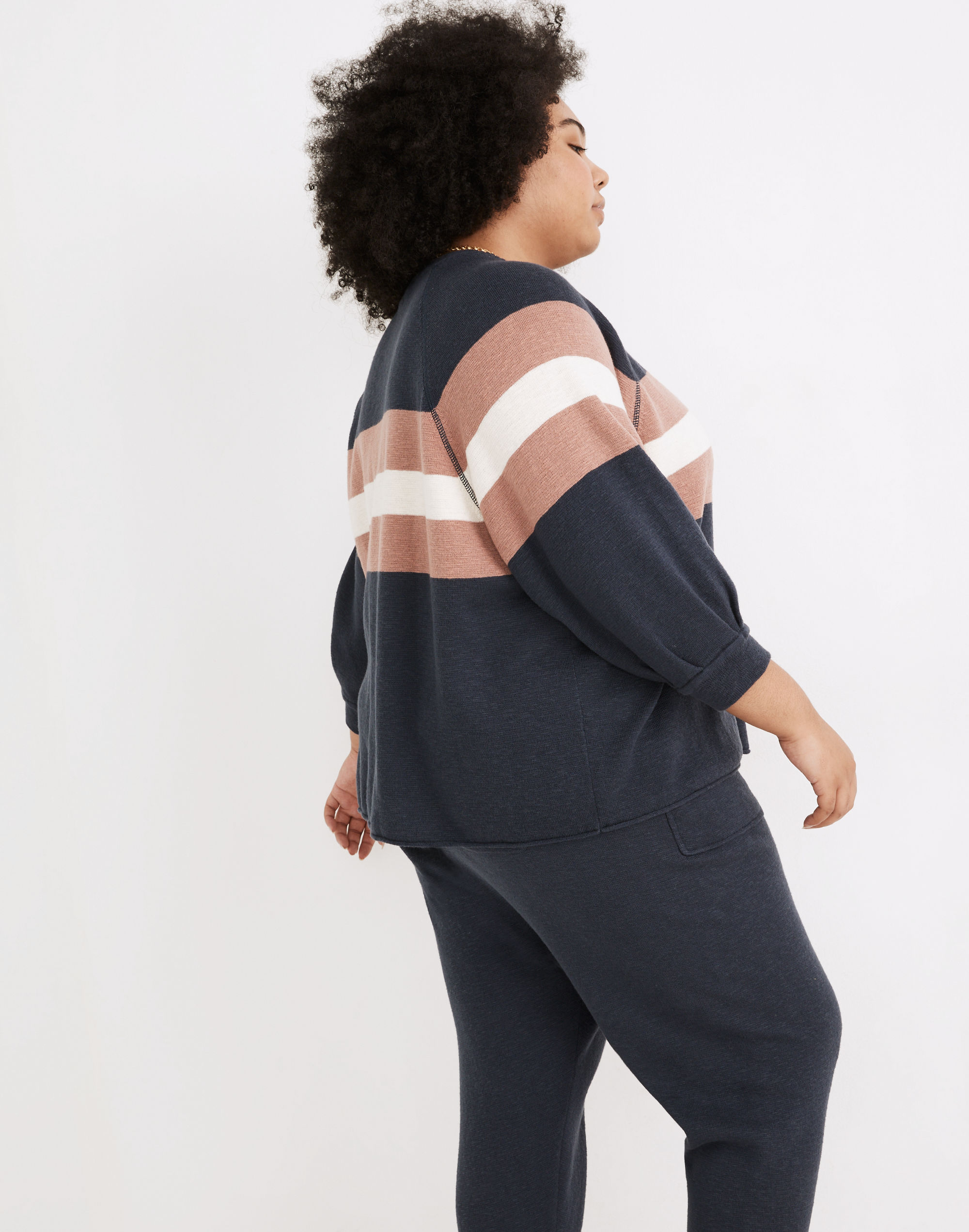 Plus Striped Telluride Pullover Sweater