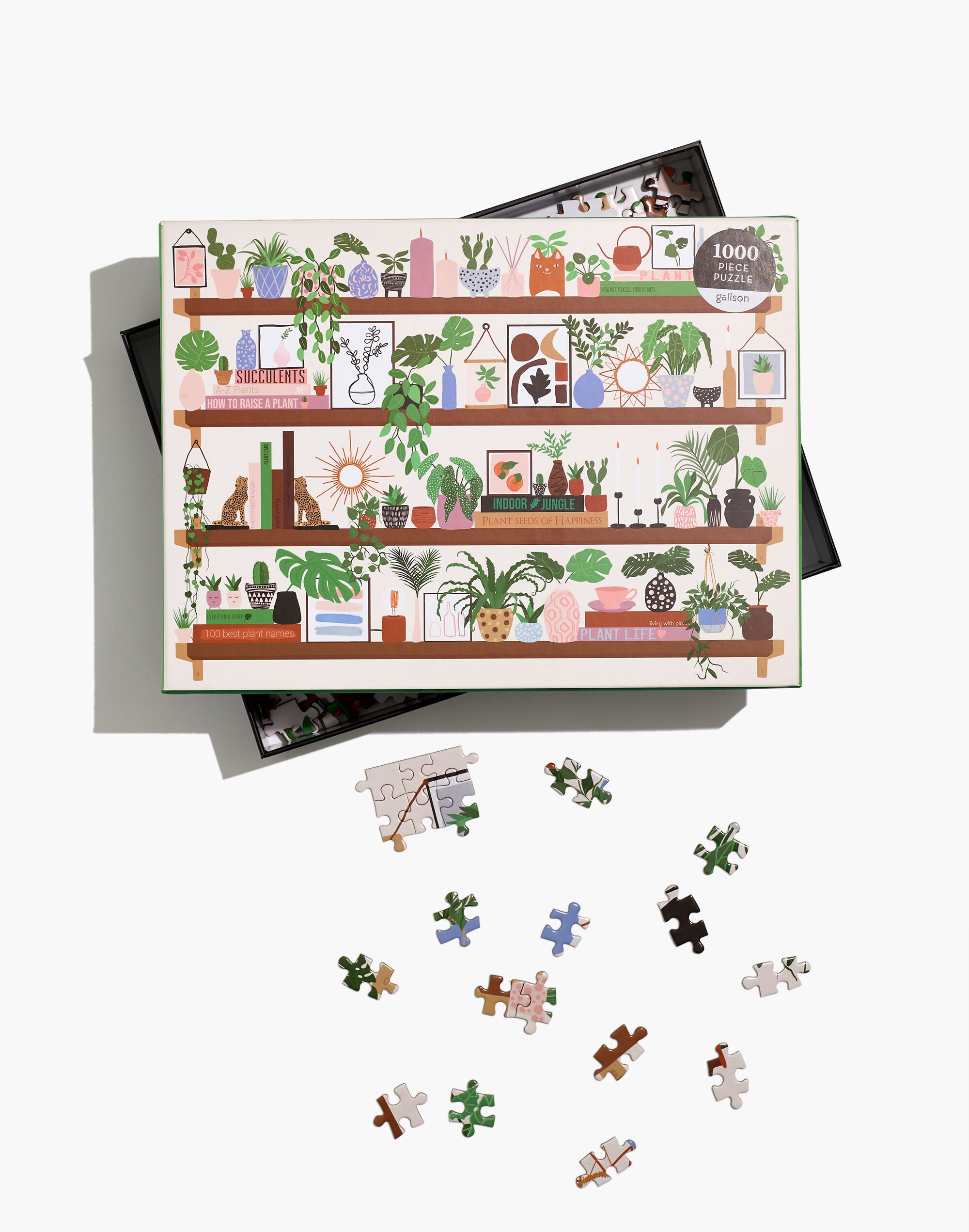 1000-Piece Plant Shelfie Jigsaw Puzzle