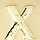 LETTER X