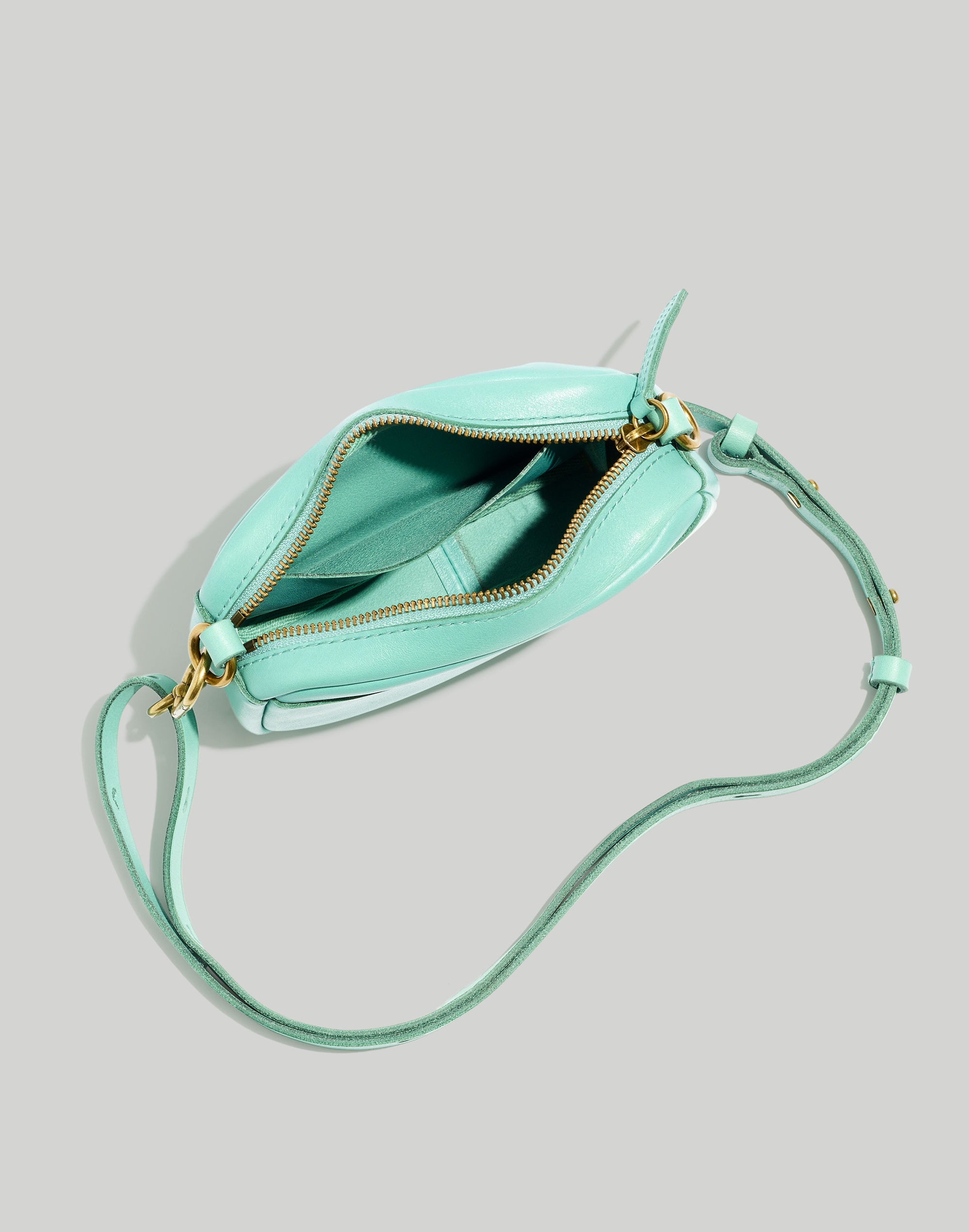 The Leather Carabiner Mini Crossbody Bag