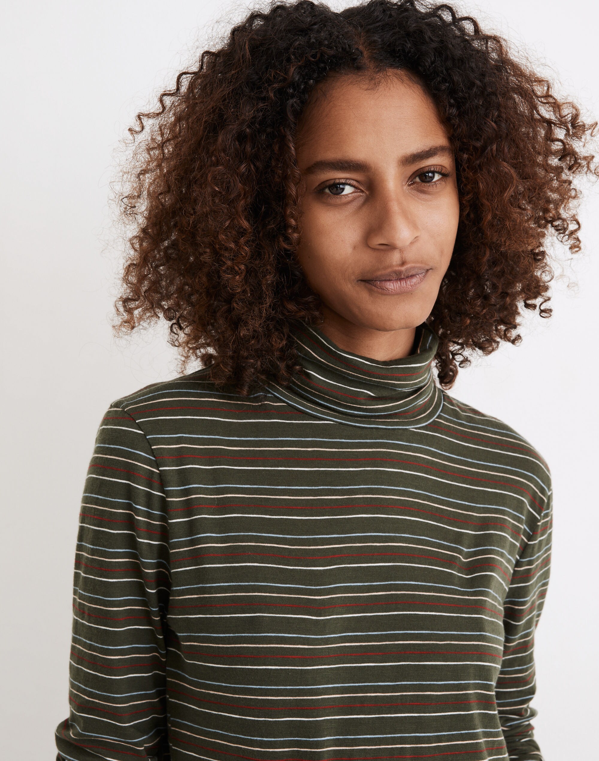 Whisper Cotton Turtleneck in Ivorton Stripe