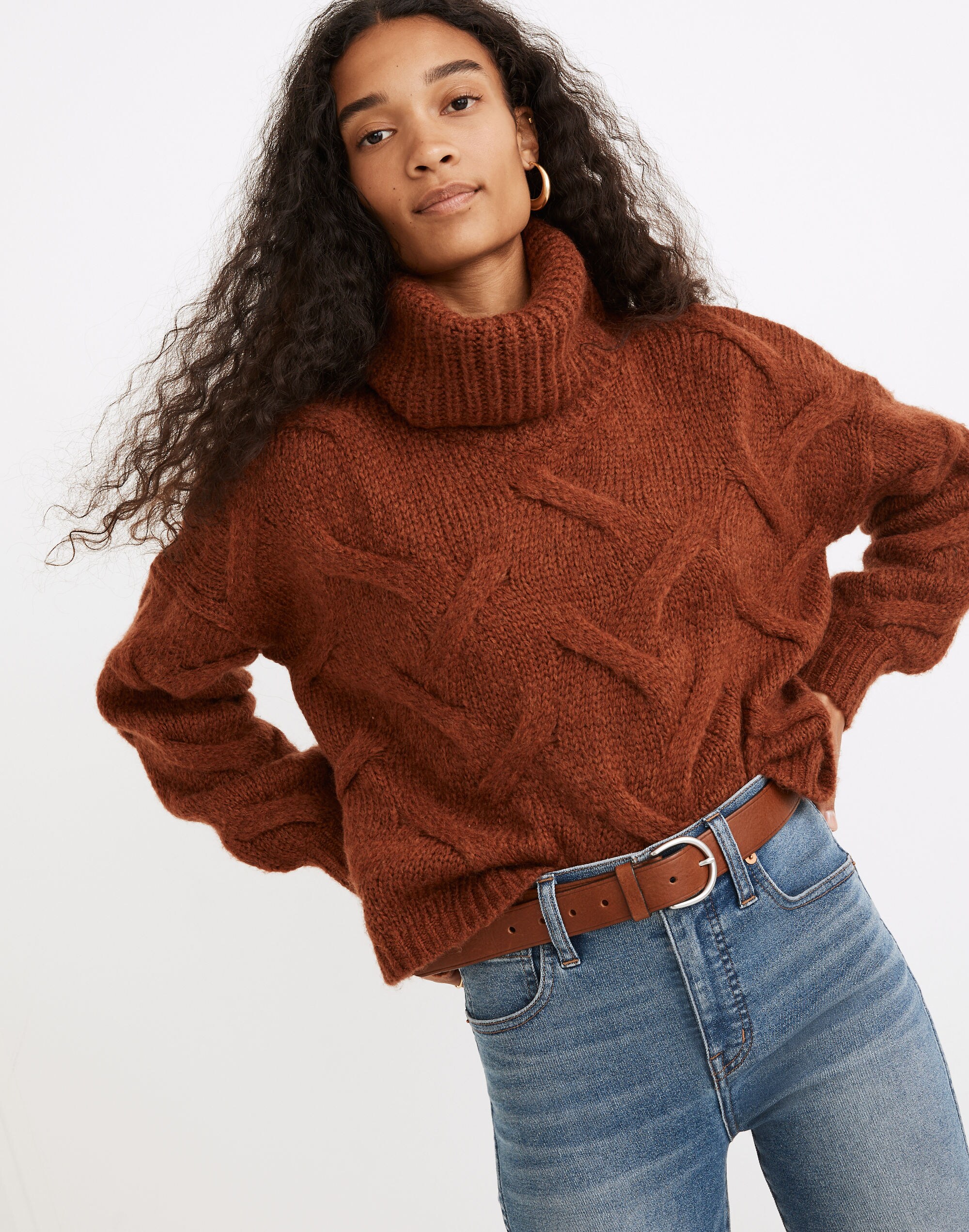 Somervell Modern Cable Turtleneck Sweater
