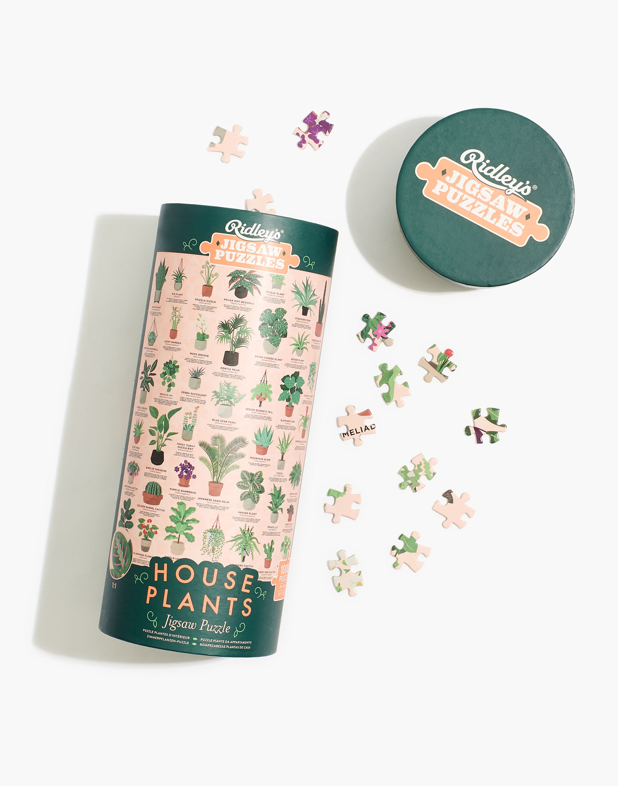 Ridley's House Plants 1000-Piece Jigsaw Puzzle